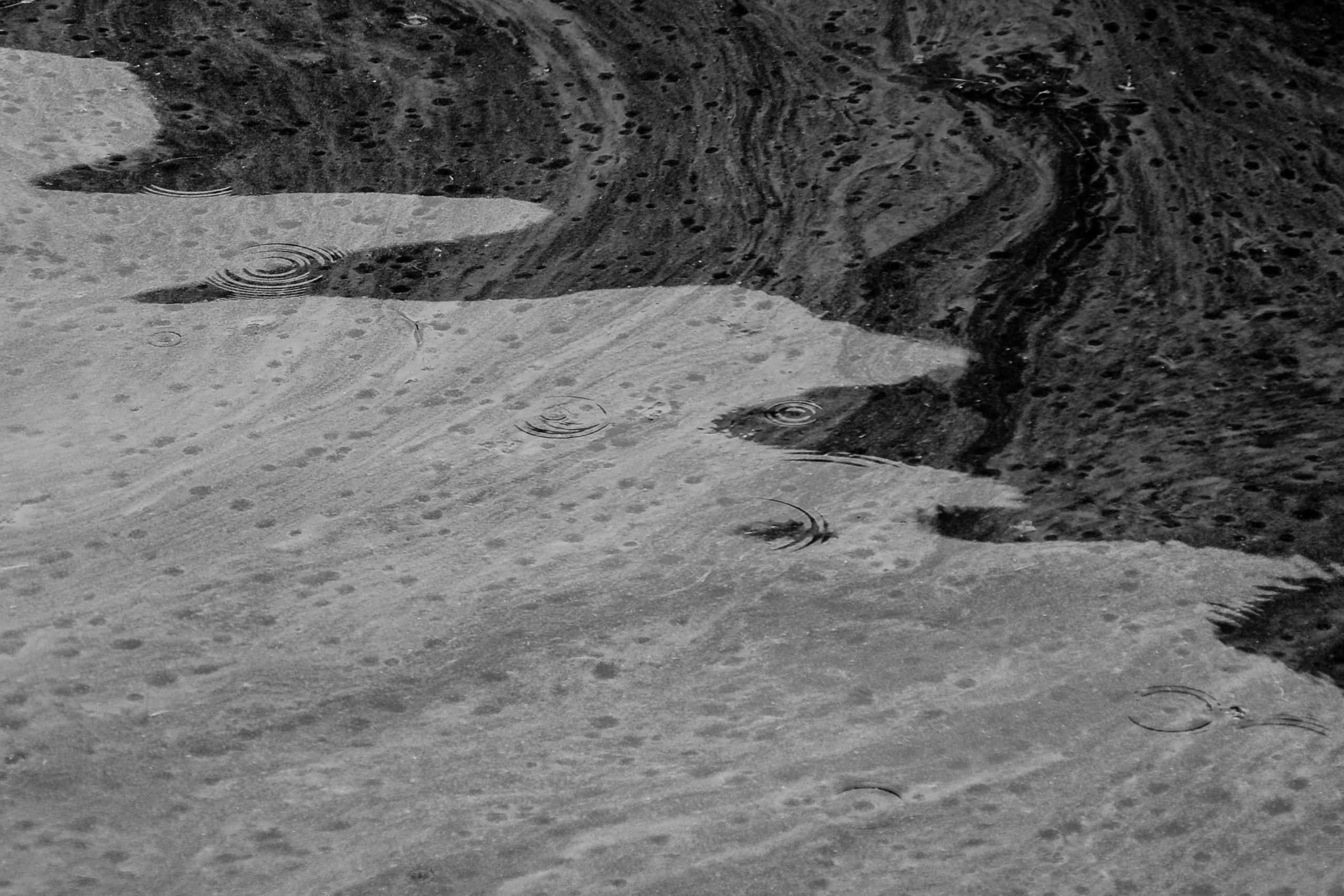 The language of contemporary creative photography