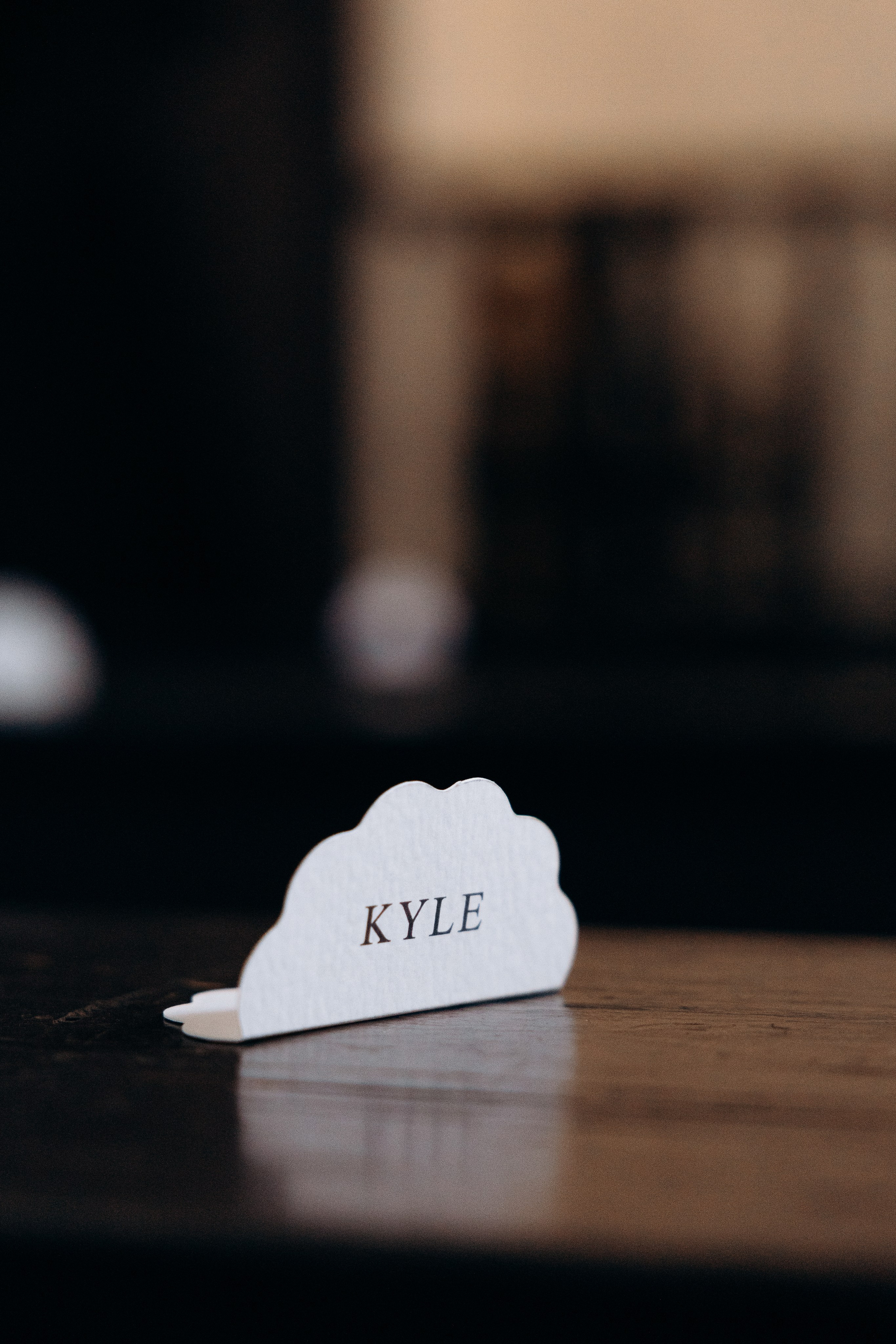 Drew and Haley. Wedding and family photographer San Diego