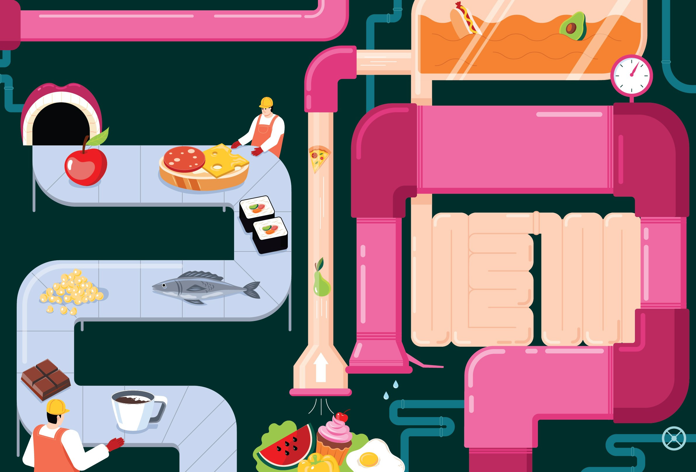 Vector Illustrations. Helen Reveur | Illustrator & Brand Designer | Ready-Made & Custom Illustrations