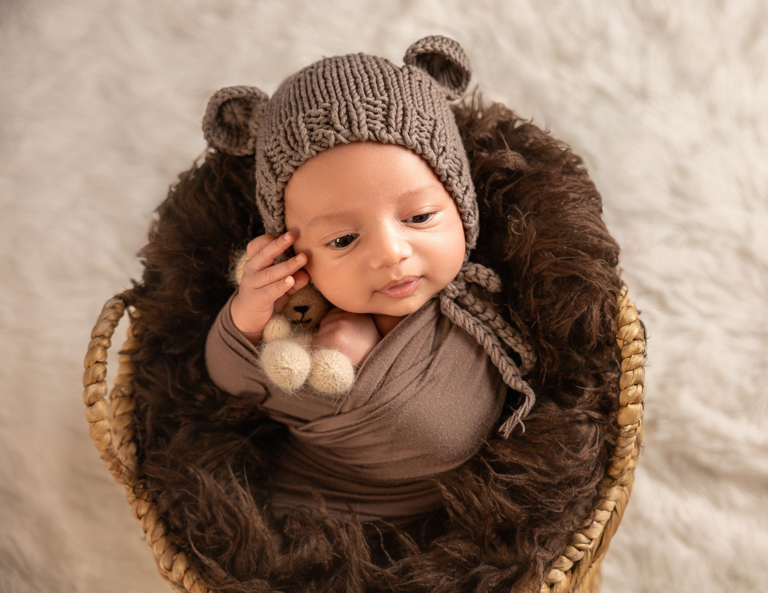 Newborn photos. Newborn photographer in Tampa Bay Area, FL