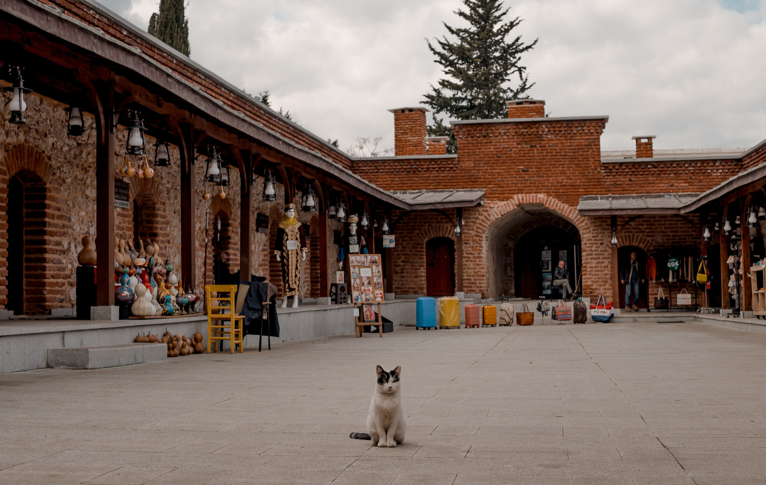 Turkey, Alanya. Art Photographer