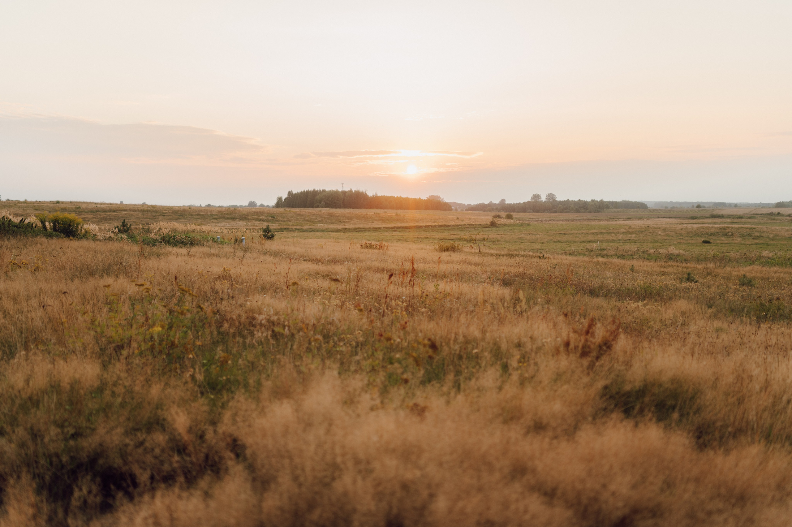 Reportaż Ślubny – Zuzia i Jasiek | Fotograf Ślubny Poznań. Ślubny fotograf Poznań | Oliwia Makara