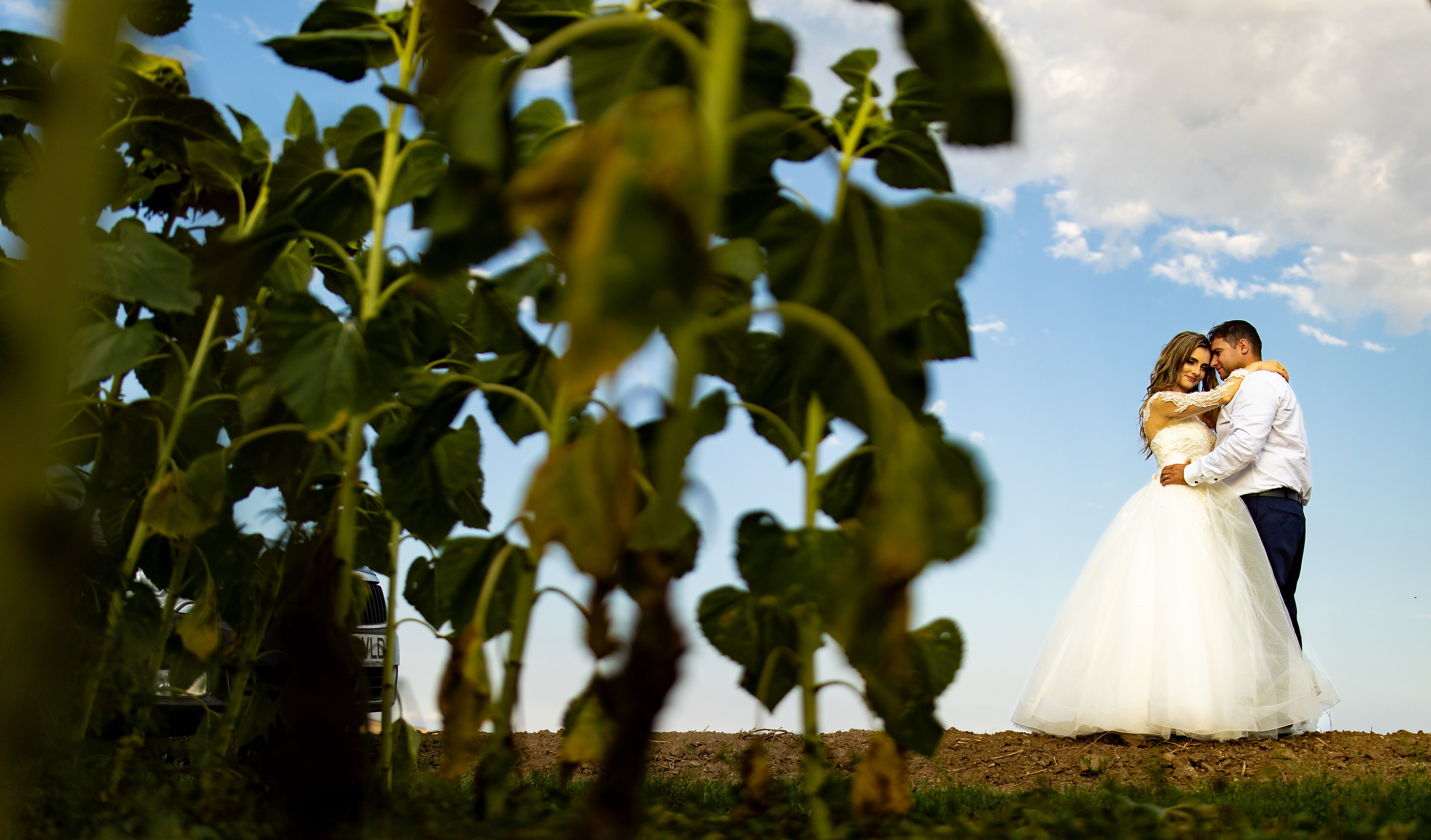 Fotografii de la sedinte foto Trash the Dress. Codux — Fotograf Tulcea | Fotograf Evenimente