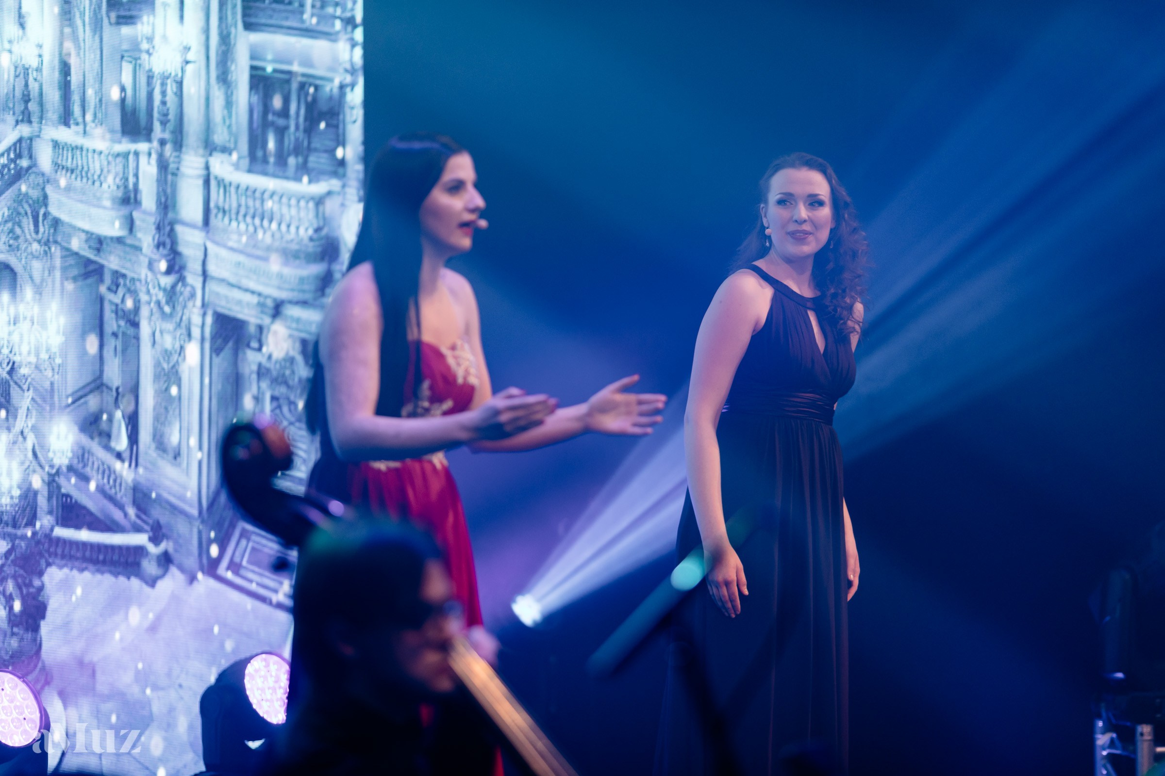 Koncert Amuz.pl. Fotograf Ślubny Warszawa - Sesje Biznesowe Rodzinne Eventy