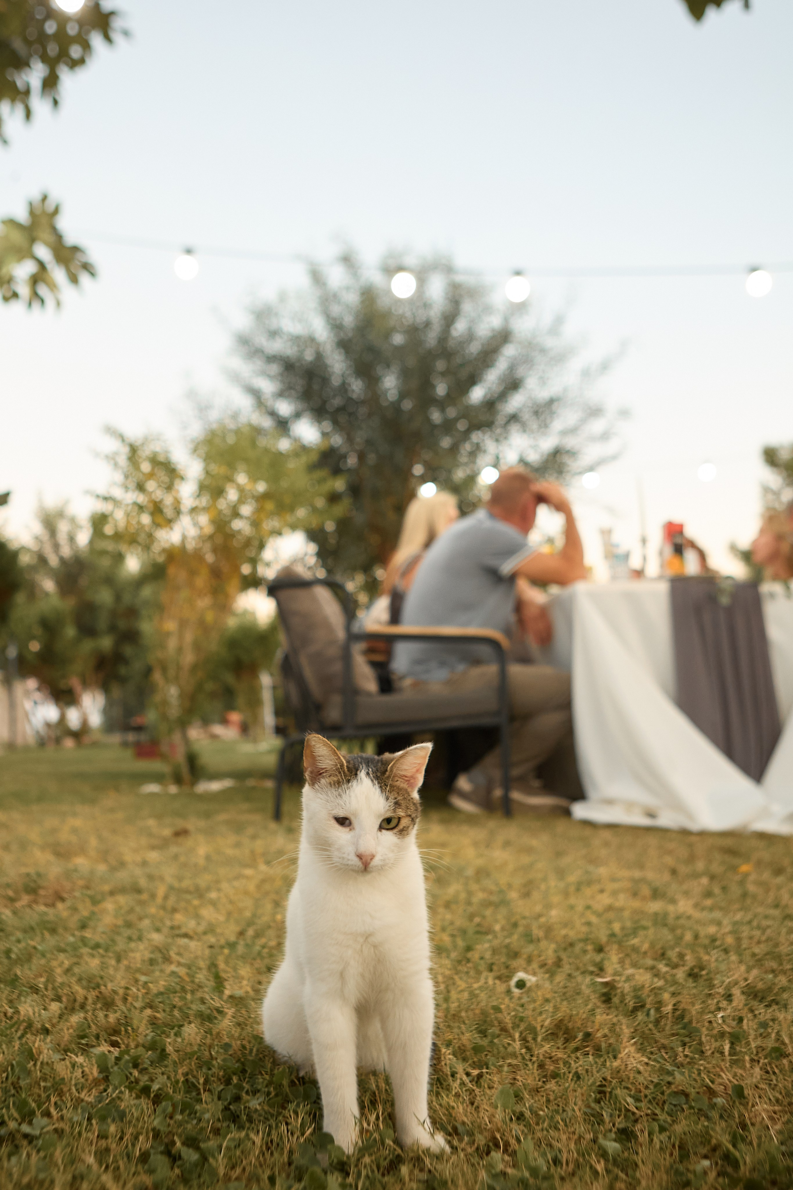 WEDDING 2024. Свадебный и семейный фотограф Жанна Руденко