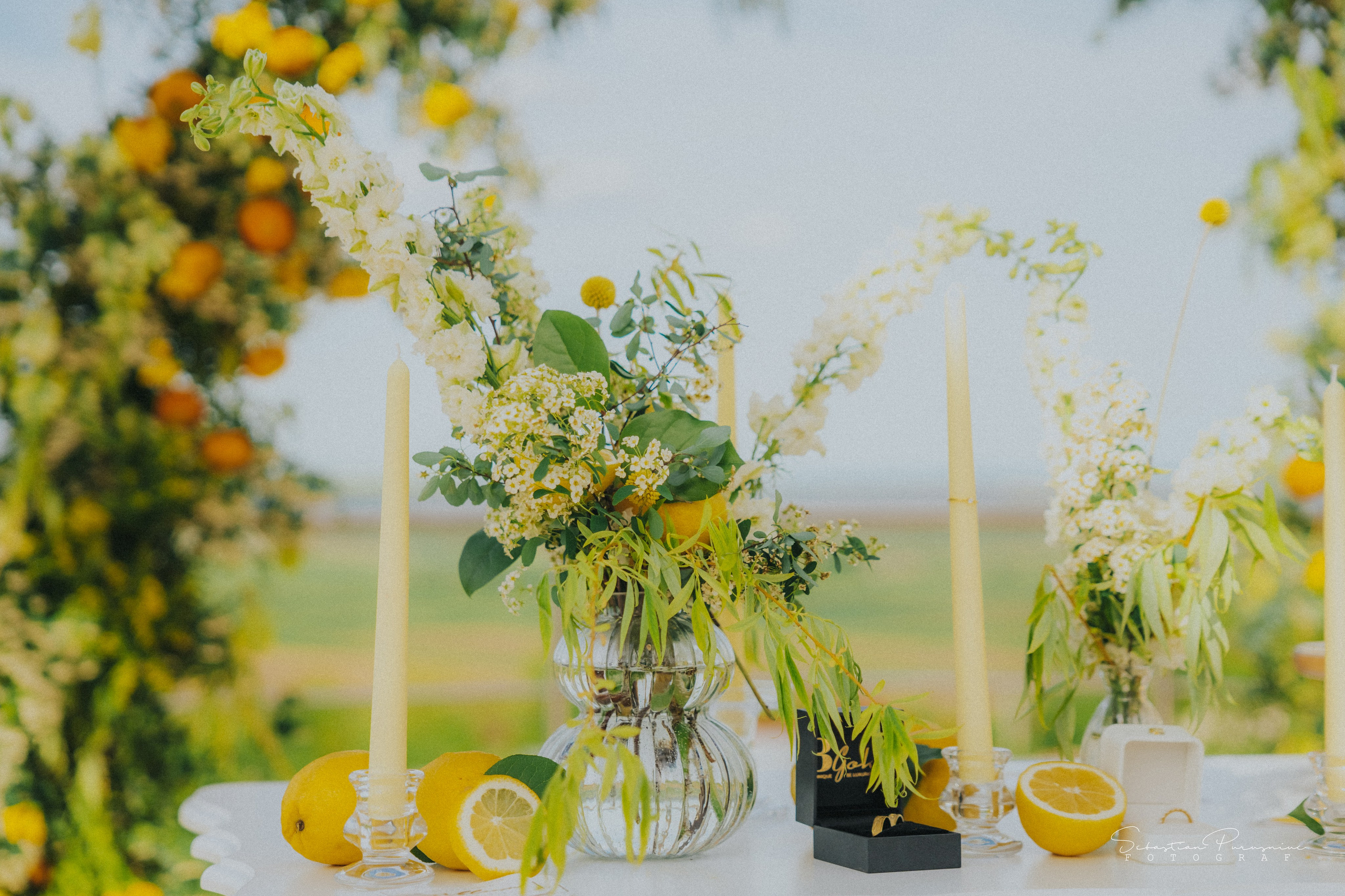 Love & Lemons. Sebastian Purusniuc Fotograf - Iasi