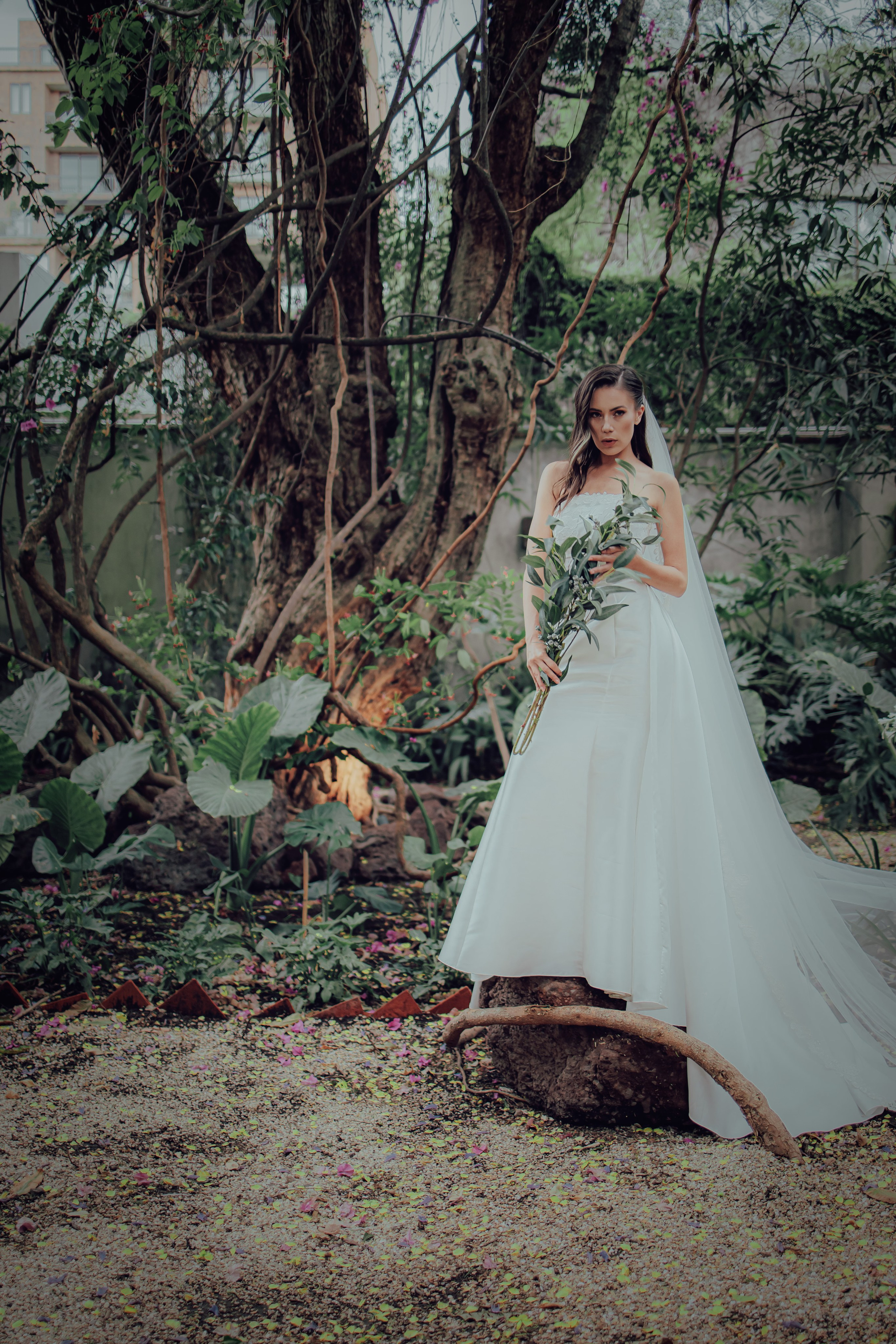 Alma. Fotógrafo Jorge Herrera