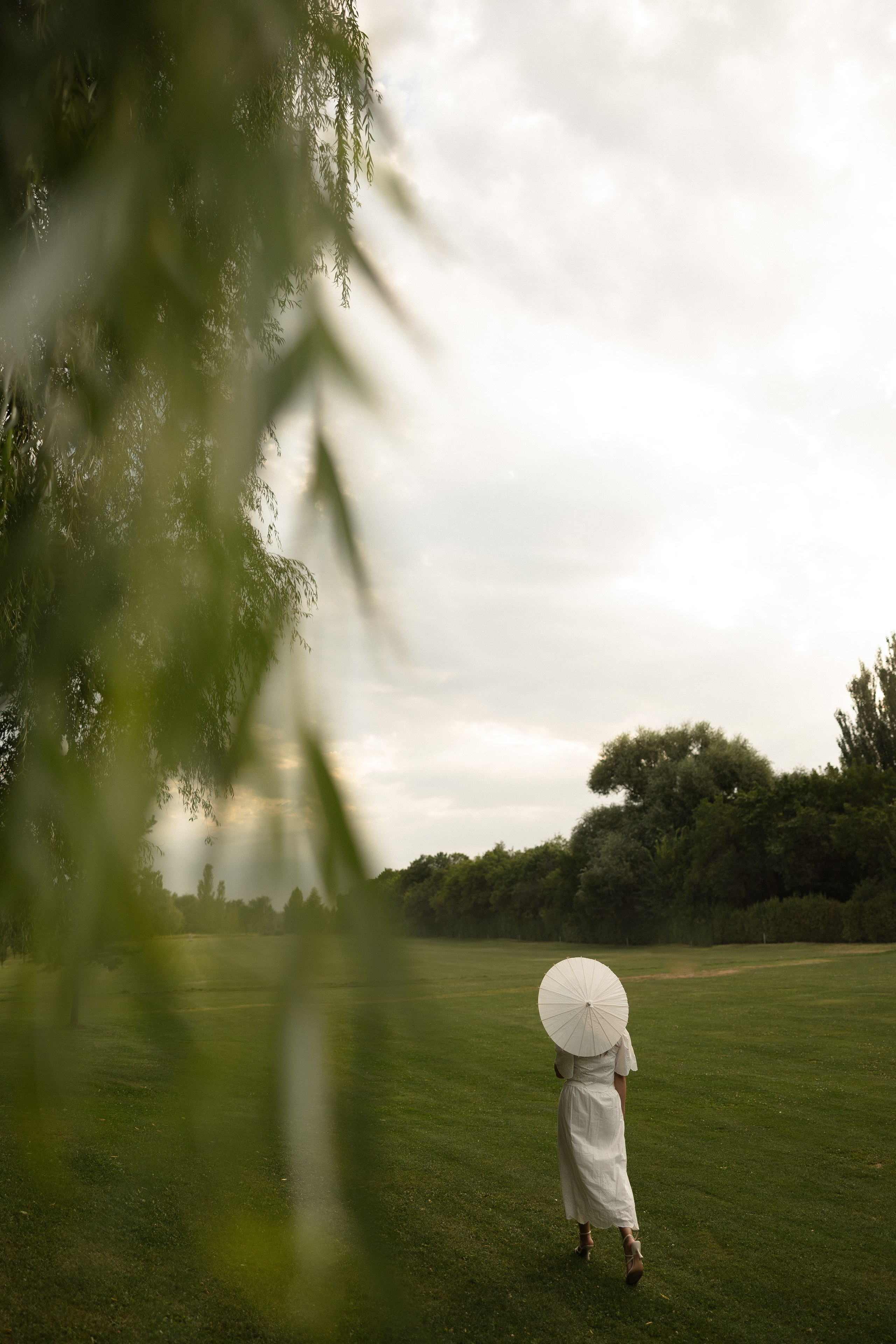 Shahbaz & Nayana. Азимжан Нуритдинходжаев — свадебный фотограф