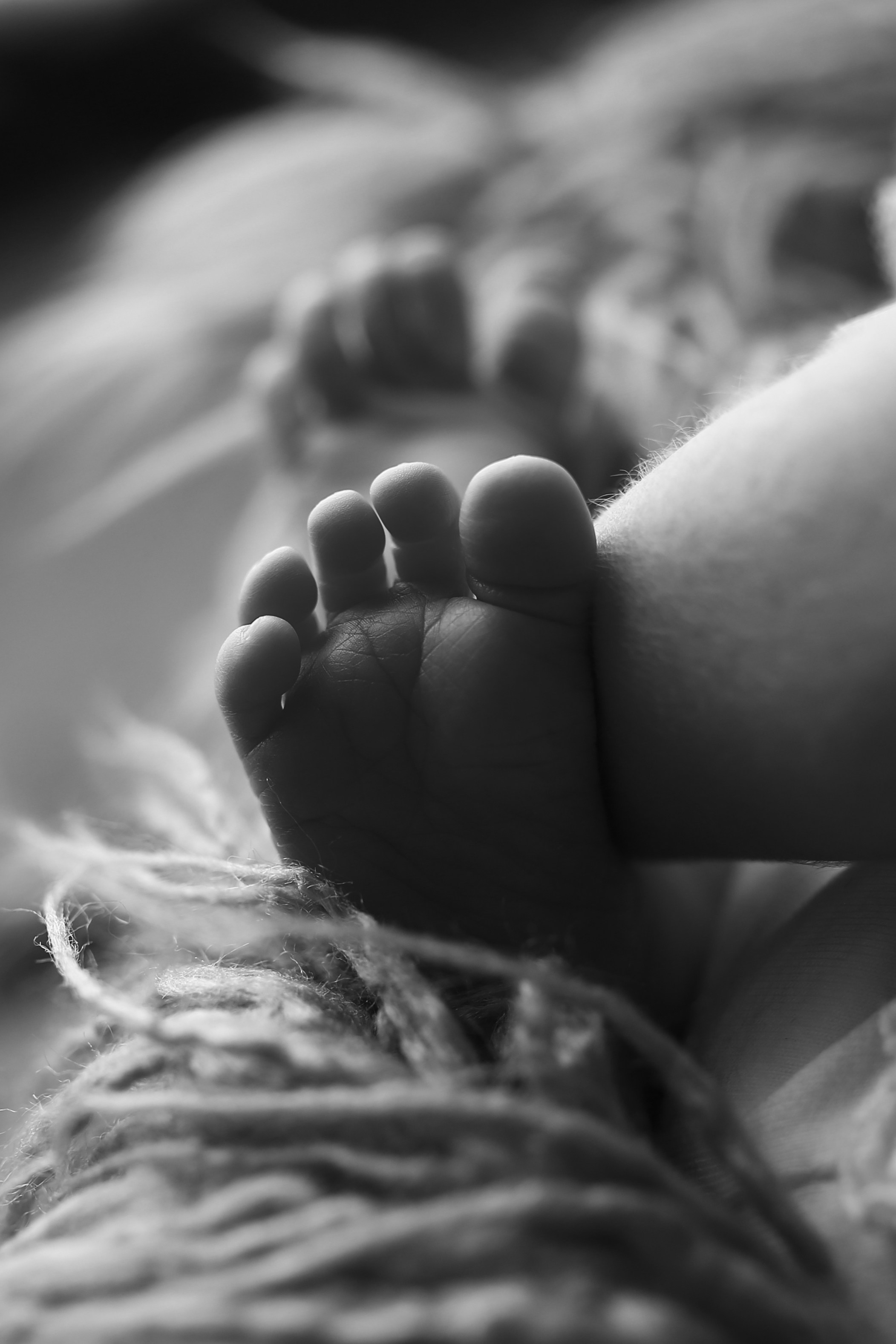 Neugeborene. Neugeborenen, Familien, Geschwister Fotografin aus Delmenhorst