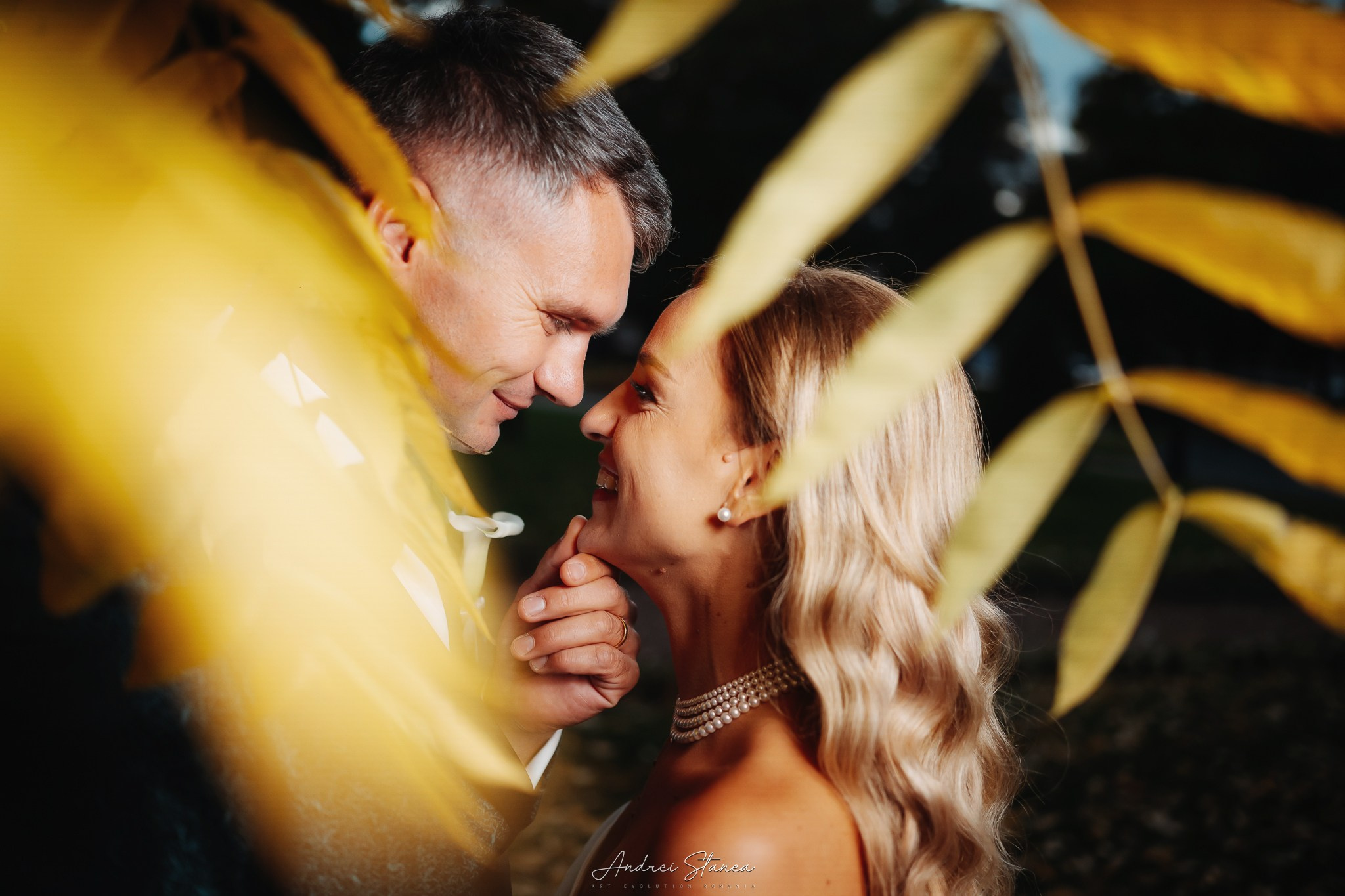 Vio & Adi. Andrei Stanea