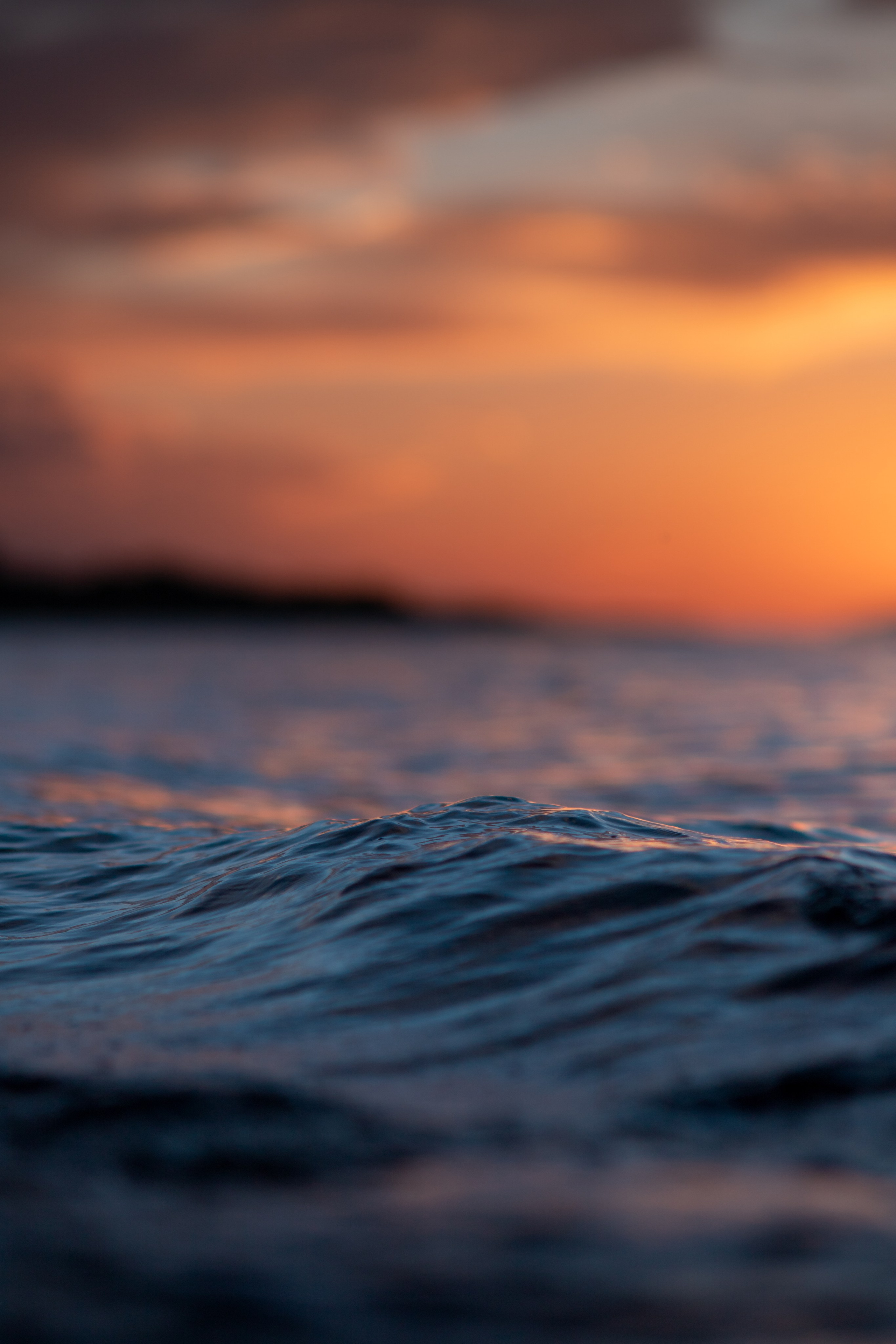 Nature. The Photographer