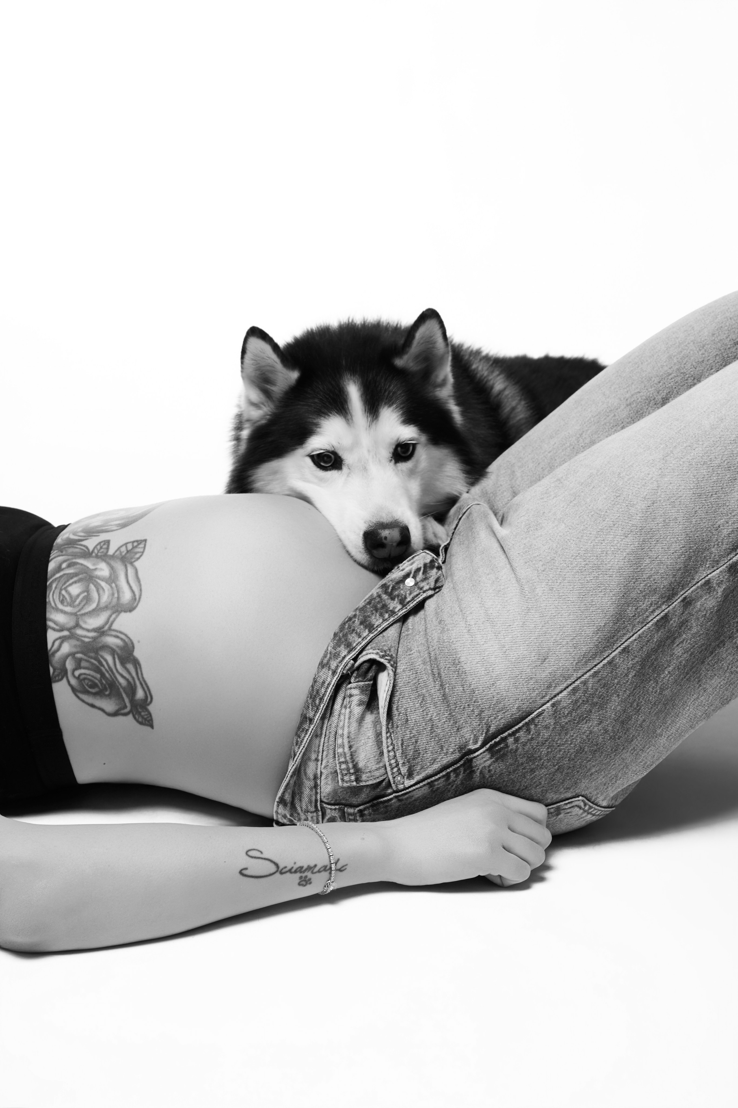 Pregnancy. Studio Timis