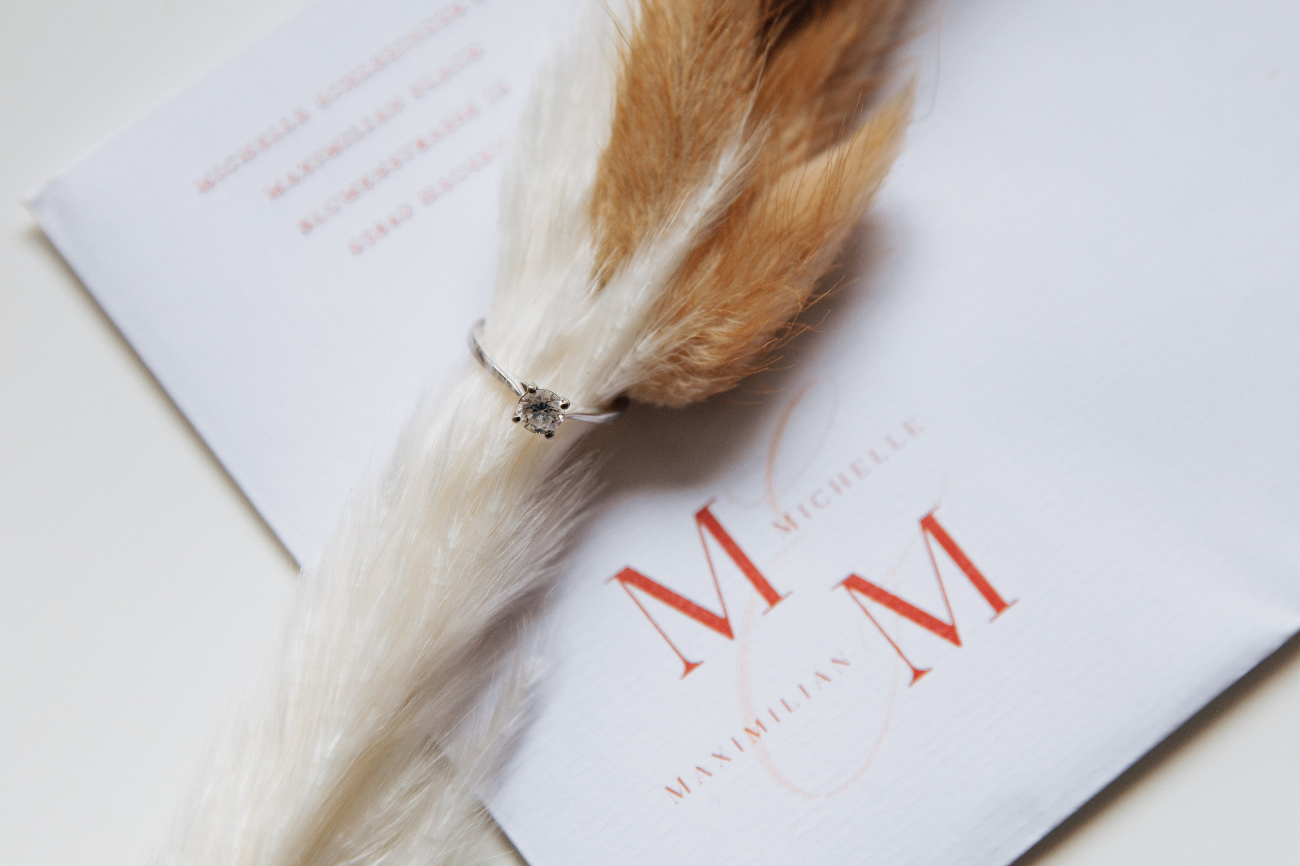 Eleganter Verlobungsring mit Diamant auf beigen Trockenblumen, platziert auf einer stilvollen Hochzeitseinladung mit den Initialen „M & M“.