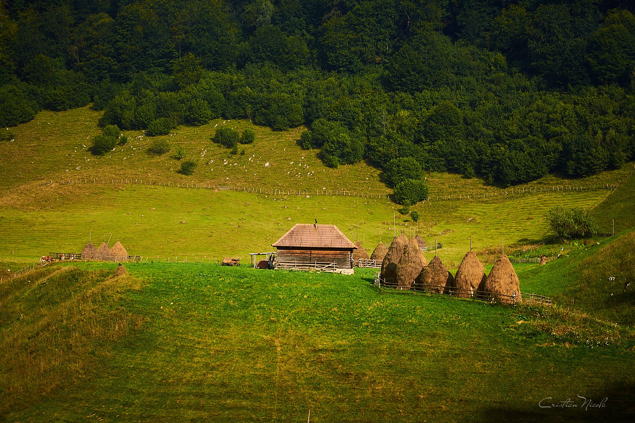 Fundătura Ponorului, jud. Humedoara. Pagina principală