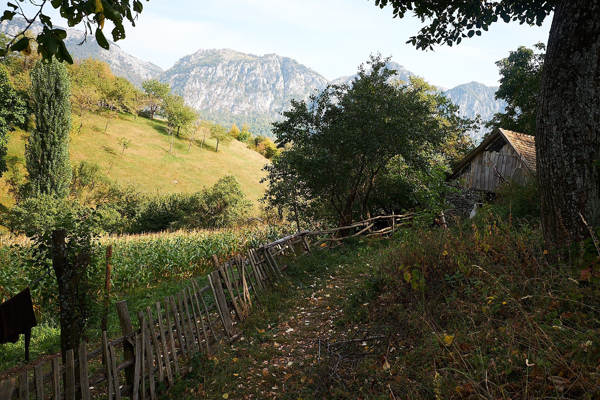 Ineleț, jud. Caraș-Severin. Pagina principală