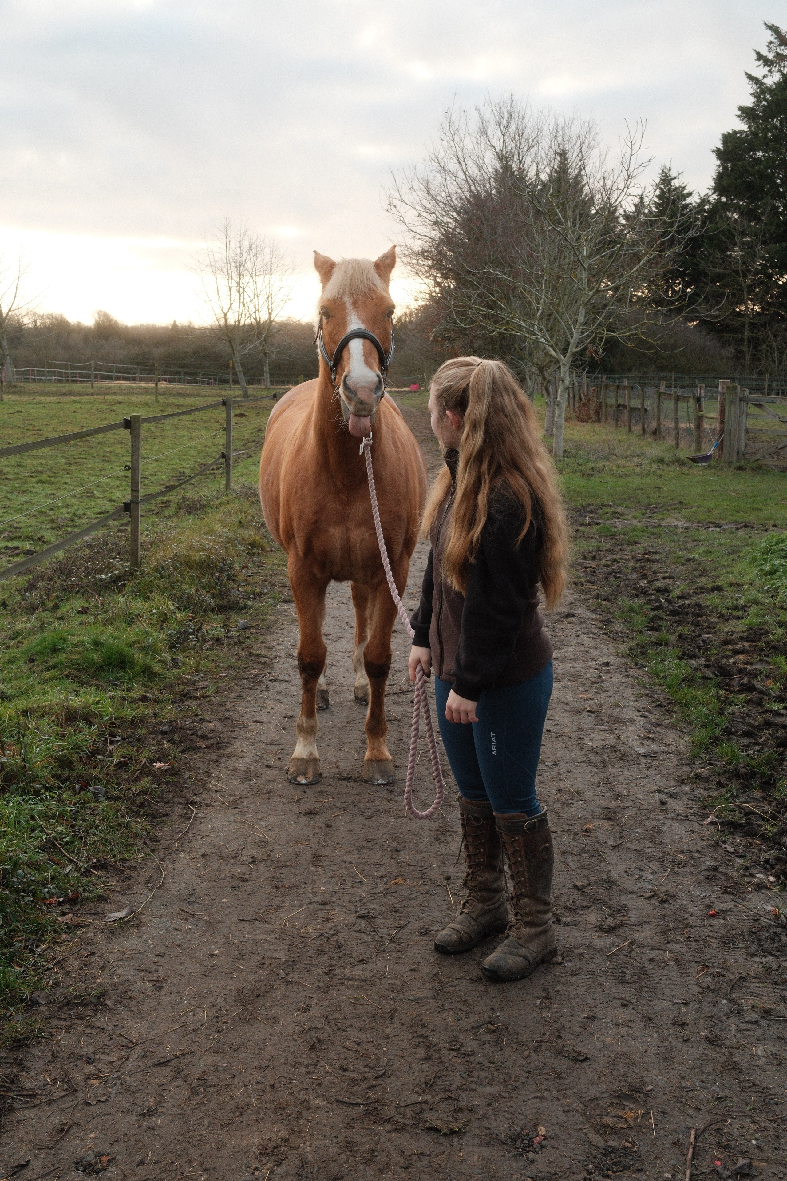 Portrait photography with Fudge the horse. Cal Takes Photos
