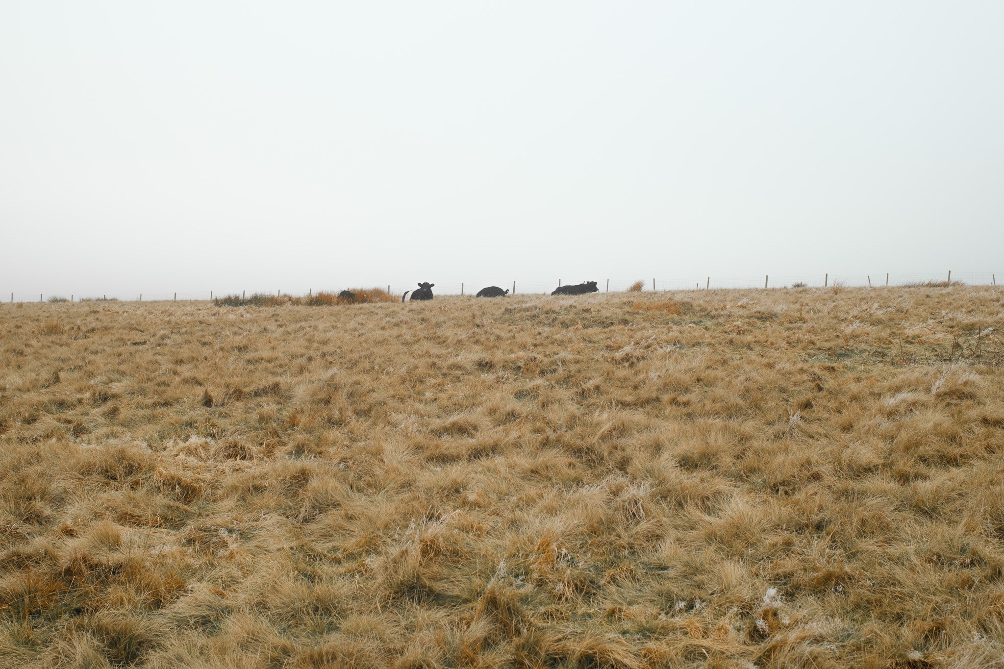 Peak District 2024. Cal Takes Photos