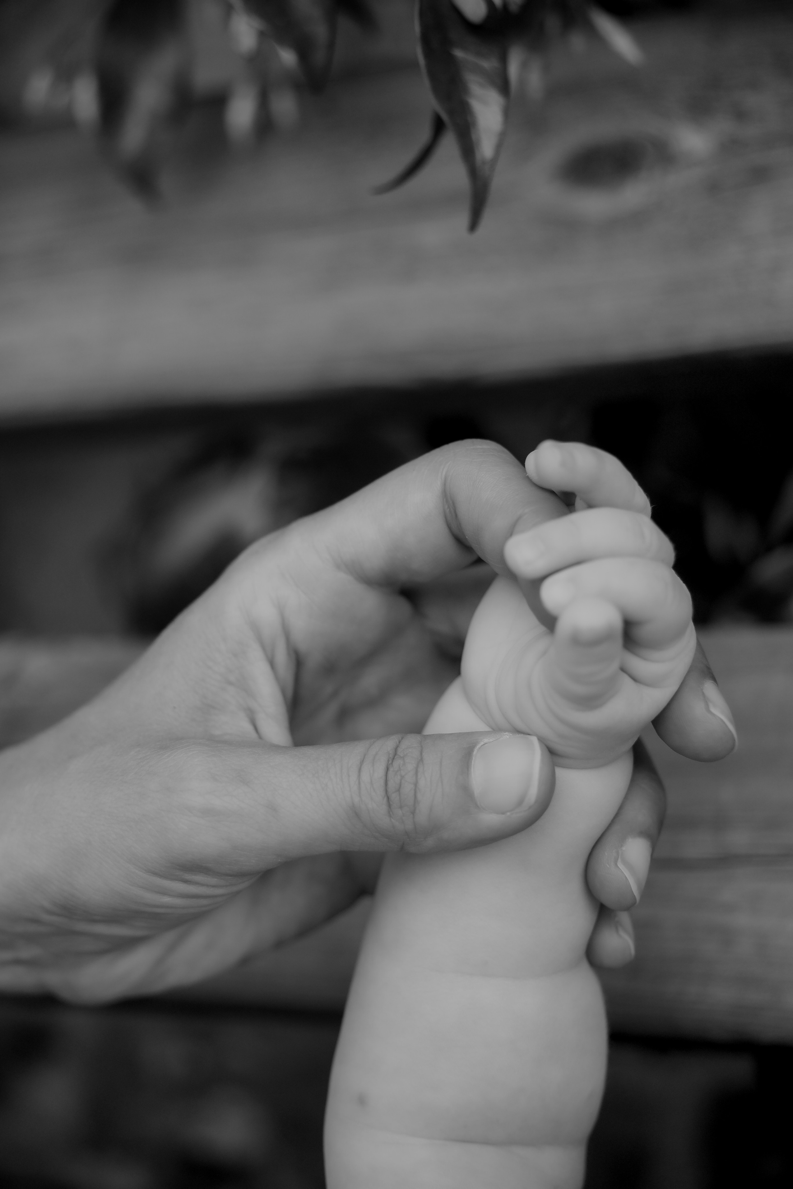 Sarah & Clementina. Wedding Photographer in Italy