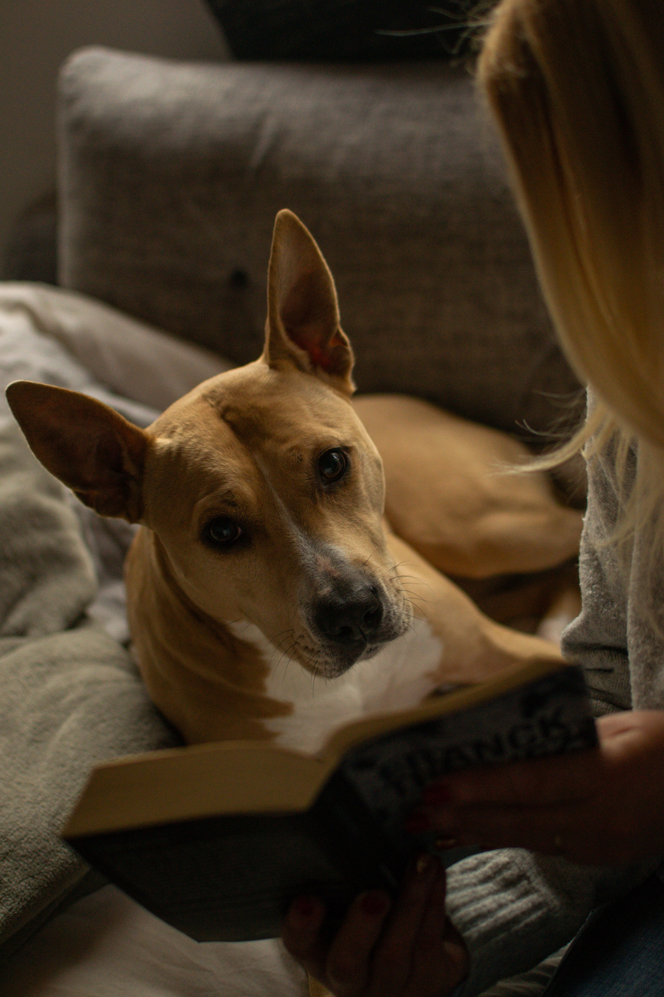 Elise et Leyka. Photographe animalier à Paris Anna Pereira