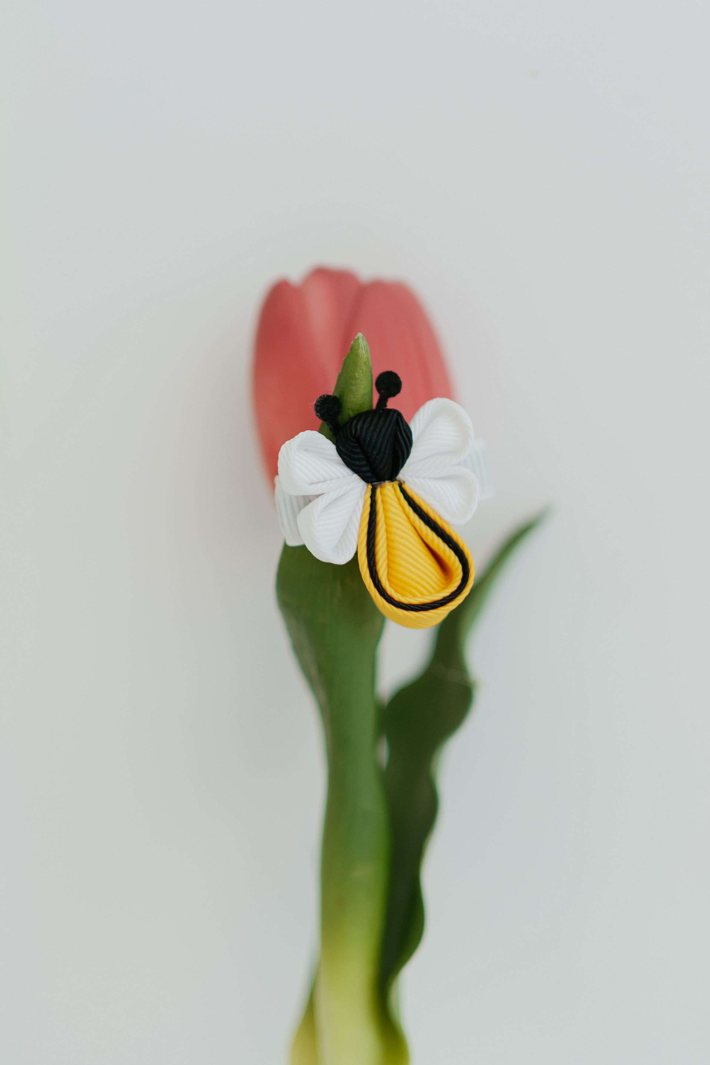 SPRING SESSION. Ars Vidi | Digital Solutions