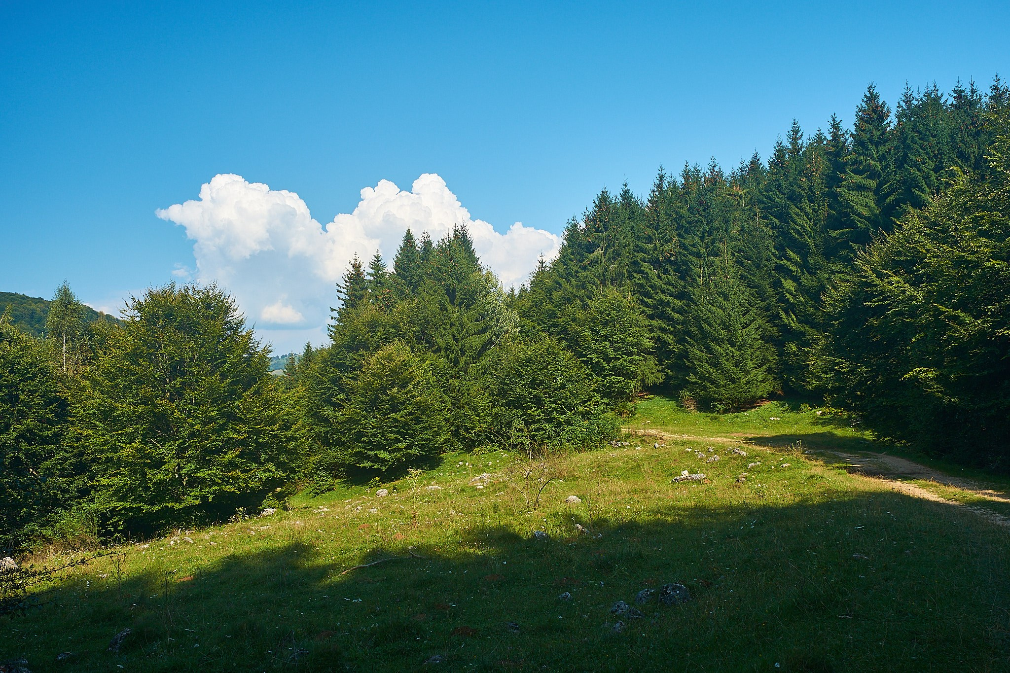 Fundătura Ponorului, jud. Humedoara. Pagina principală