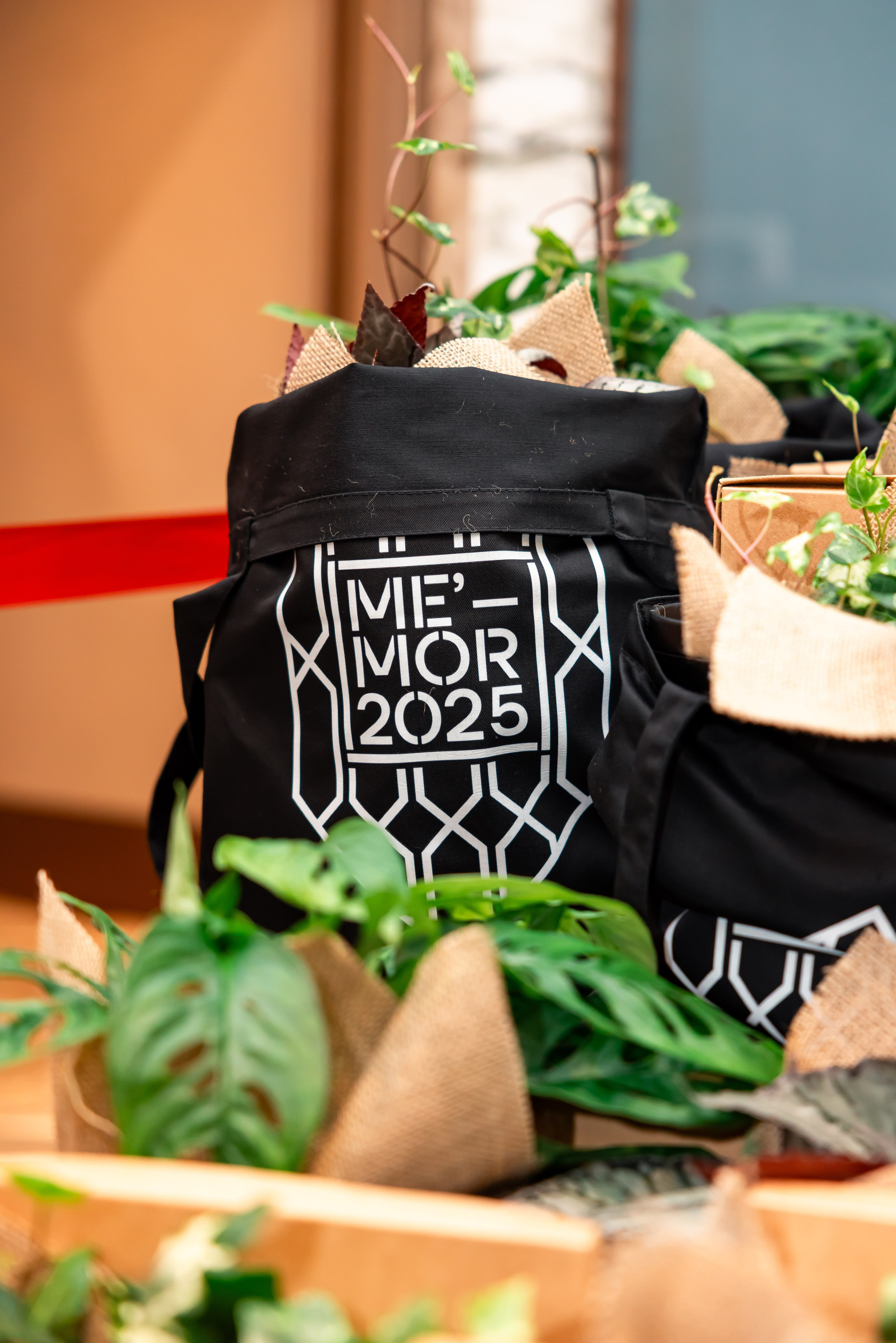 Репортажная фотосъёмка. Яркие моменты, запечатленные в каждом кадре