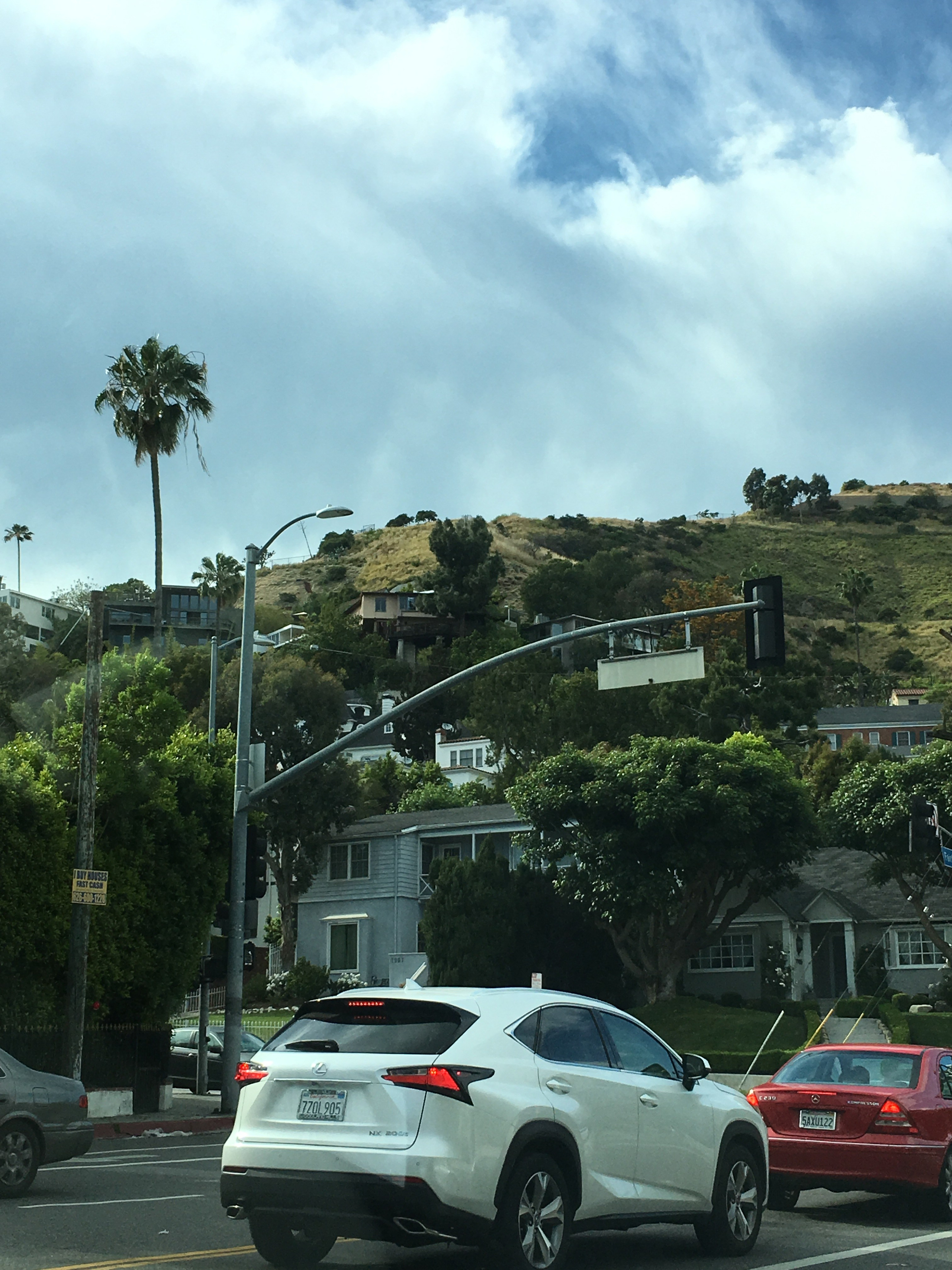 Lens Work From Field  1