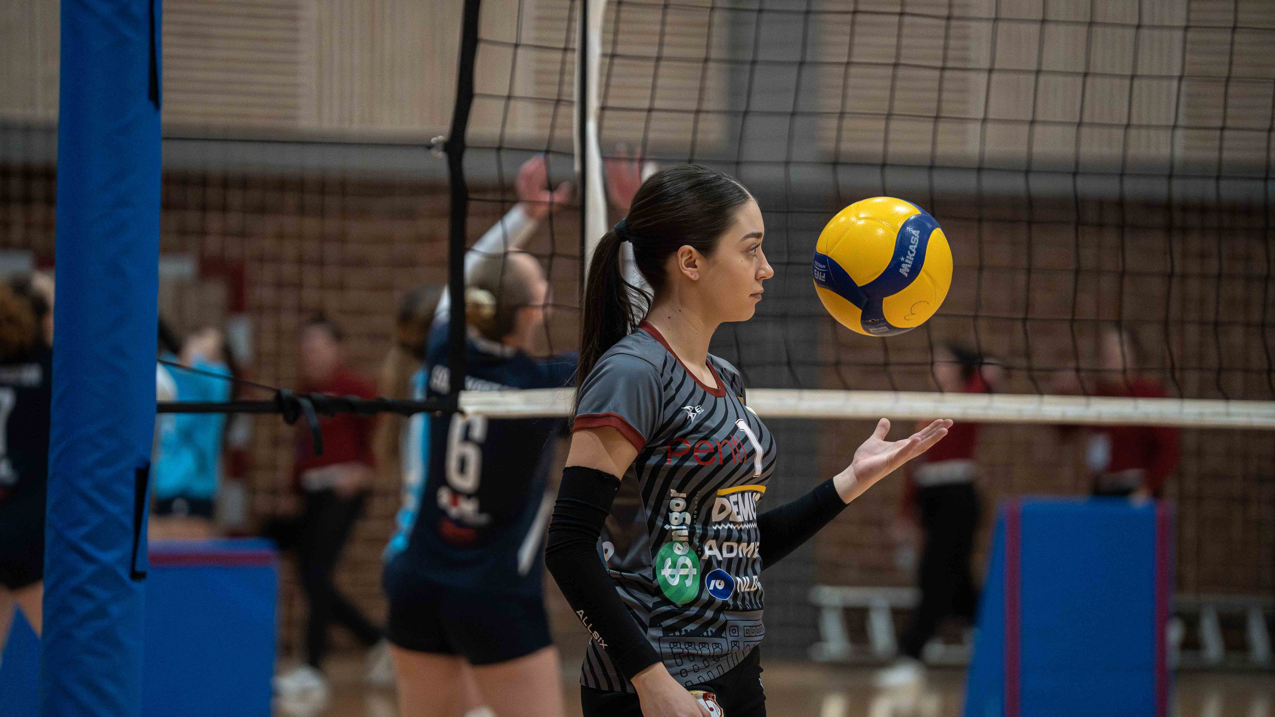 ŽOK Bosna — 2024/2025