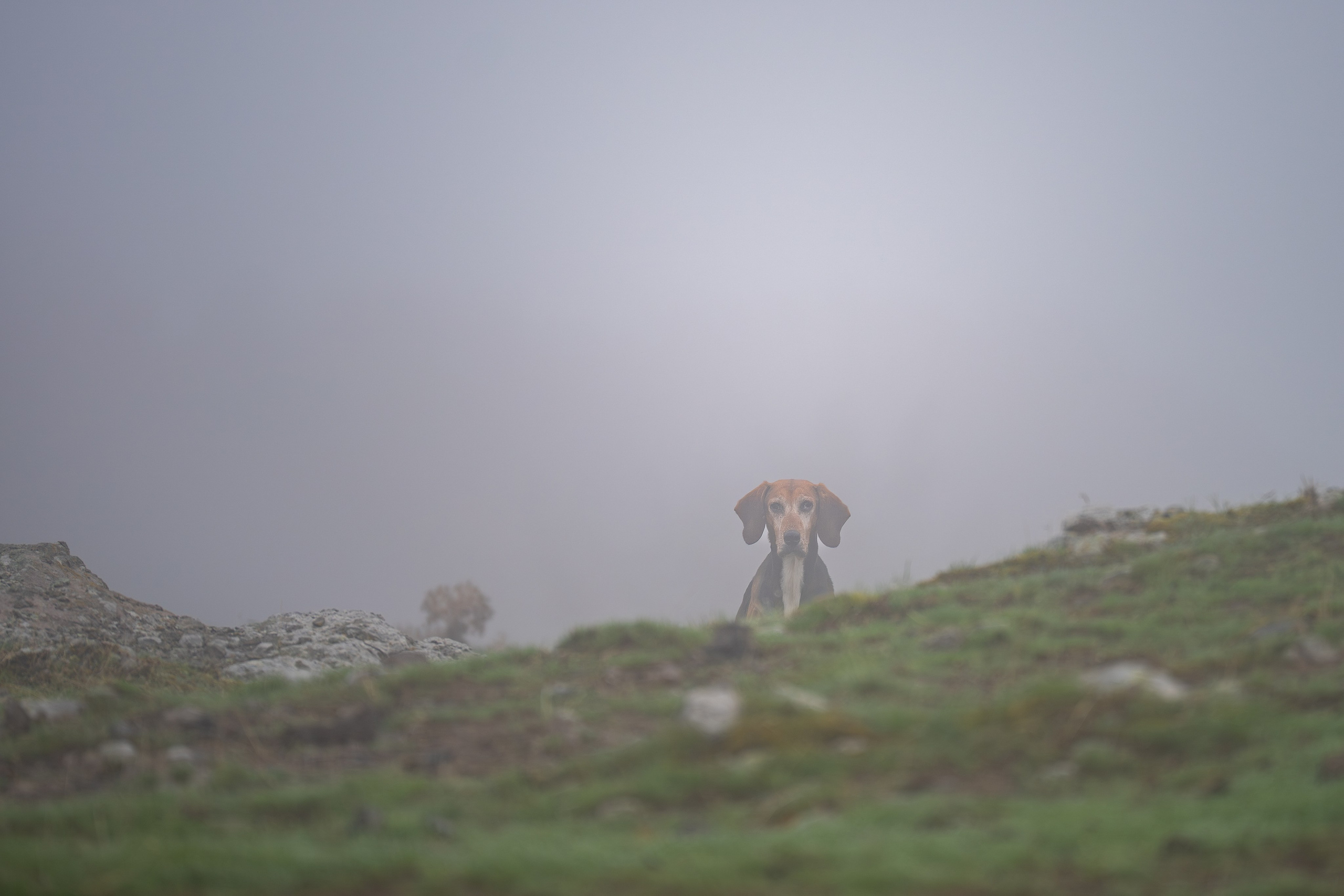 Сборни кадри 2025. Професионален фотограф в Пловдив и областта