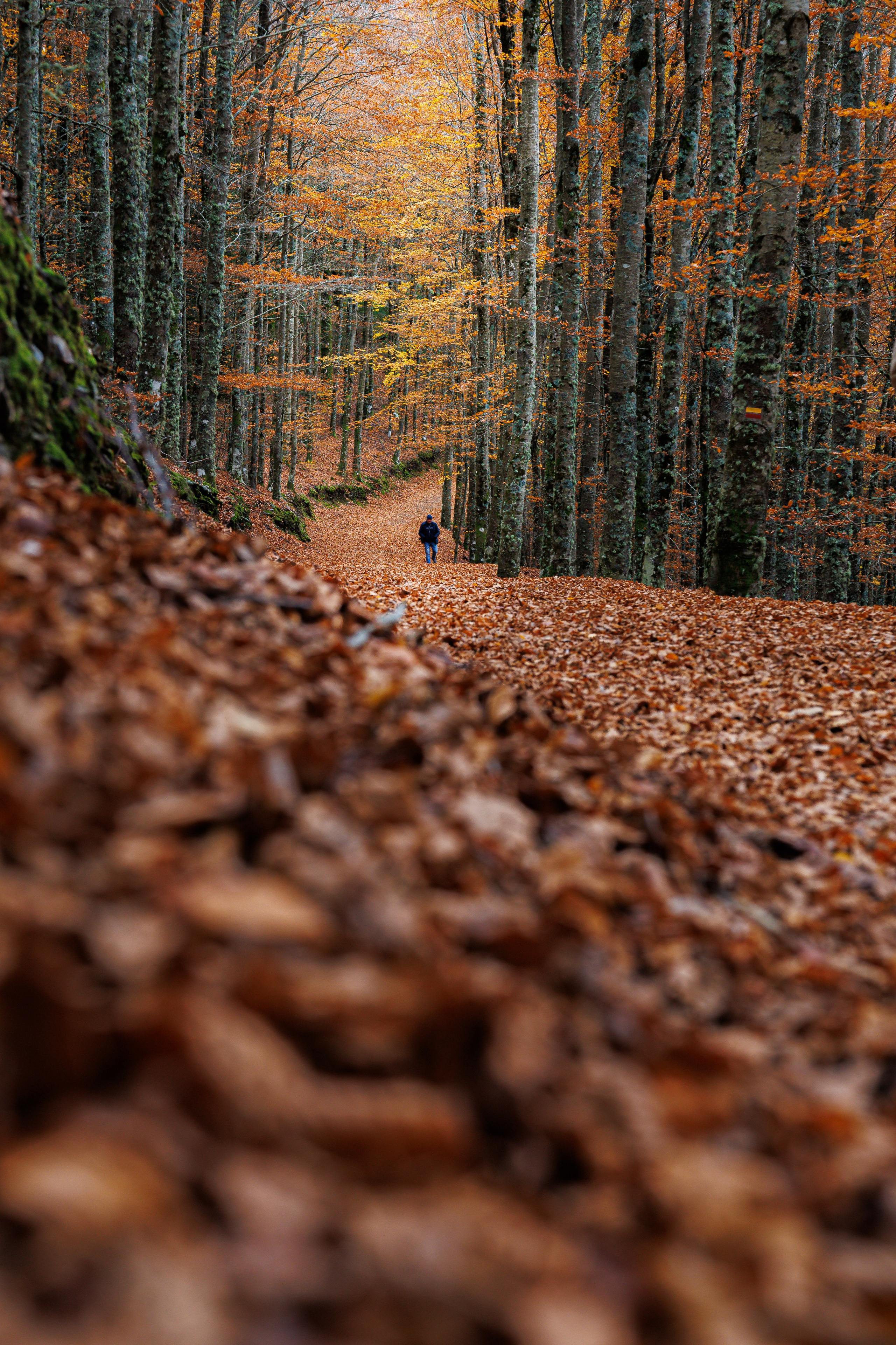 Fotografia de Natureza – Portfólio | Paulo Marques Photography. Paulo Marques Photography