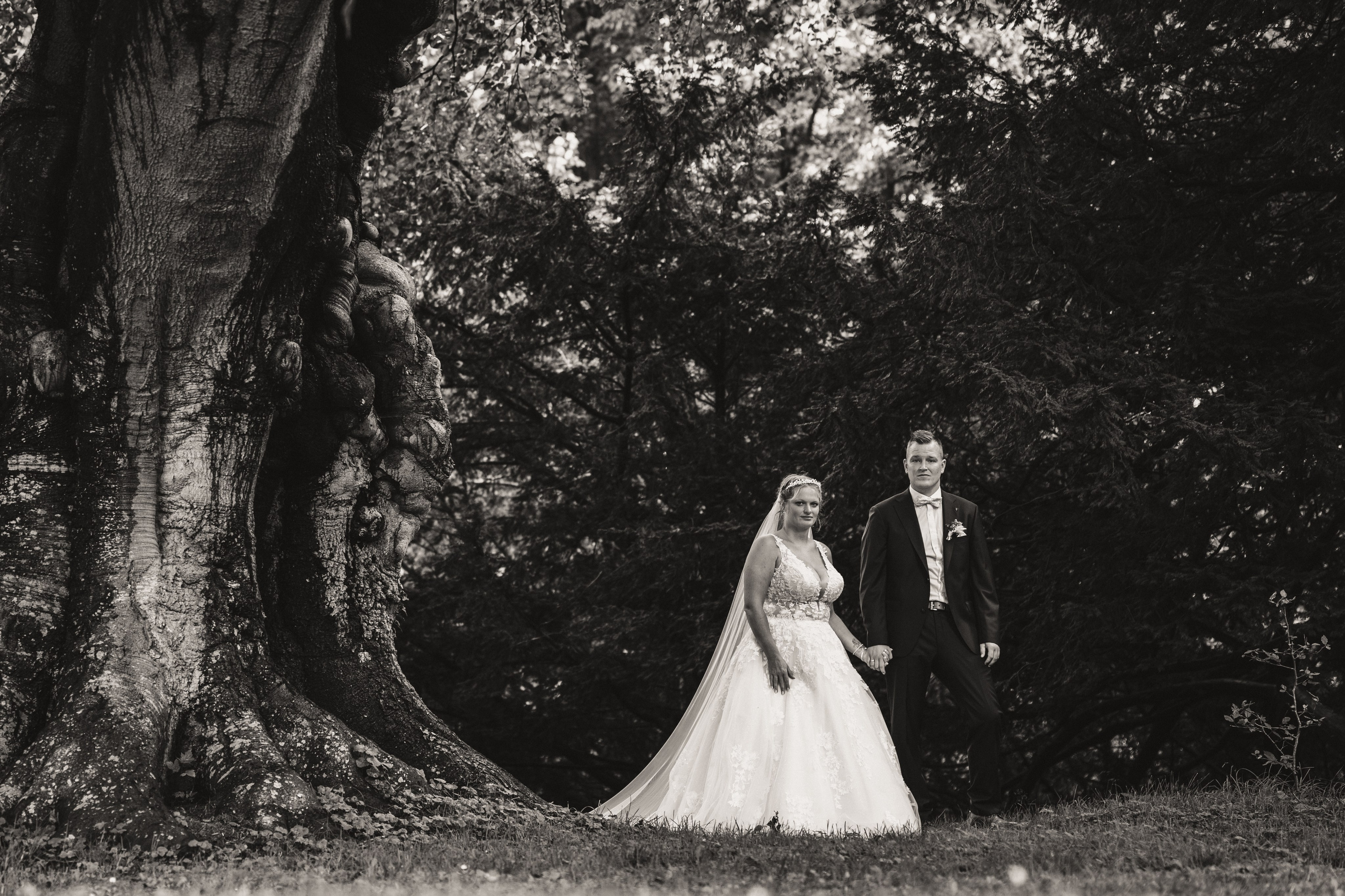 Hochzeitsreportage. Thorben Ihler - Dein Fotograf aus Emden