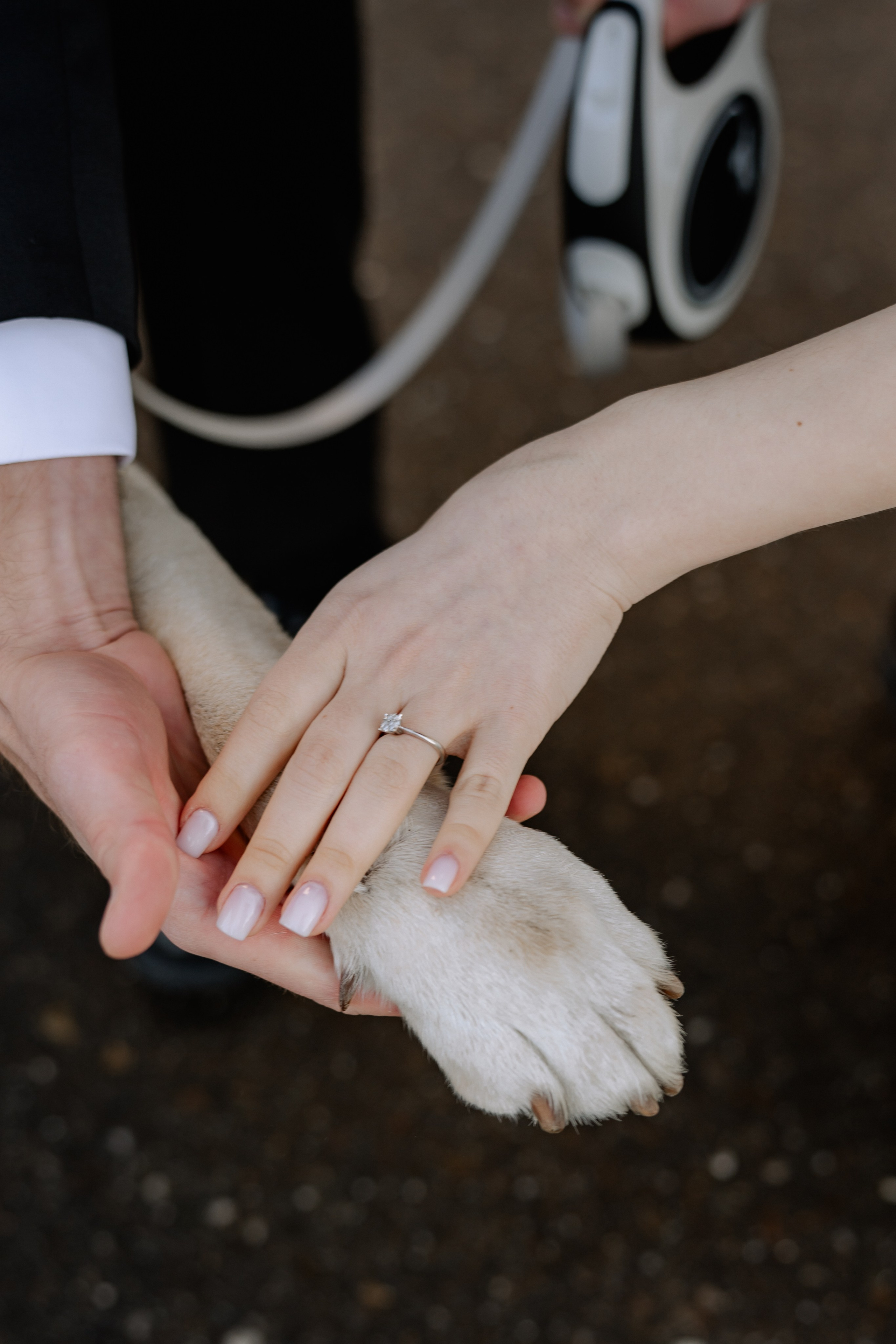 Andreea + Silviu | Wedding day. Proud Vision Weddings | Wedding Photography & Film — Servicii profesionale Foto Video Nunta Iasi