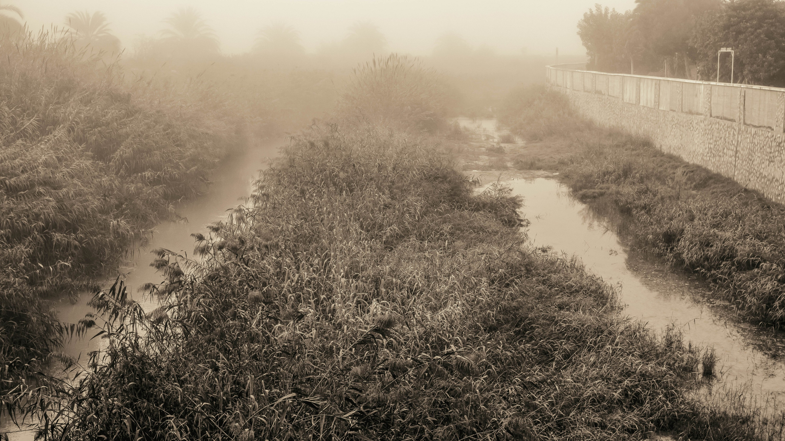 Rojales. Alba del Norte Studio