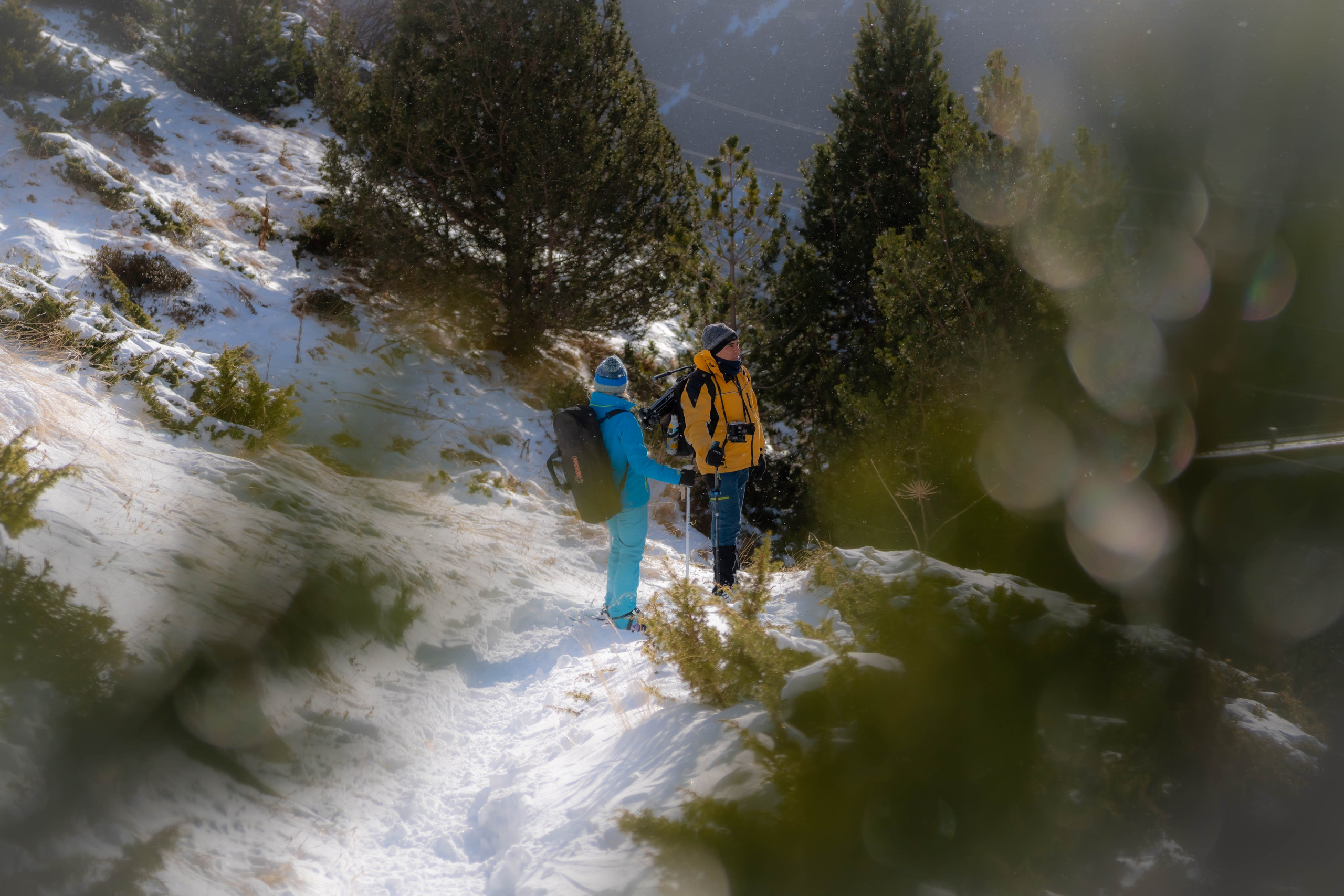 Vall Fosca, Invierno 2023. Alba del Norte Studio