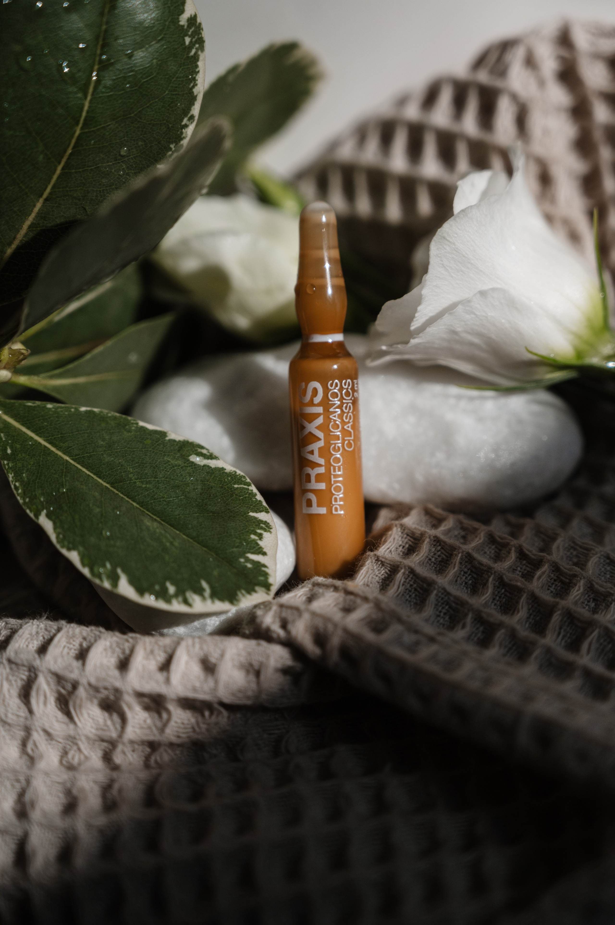 Skin&Care beauty shop. ANNA-MARIA PHOTO CONTENT CREATOR — фотограф, эстет, художник и визуальный эксперт в Instagram, работающий в Праге