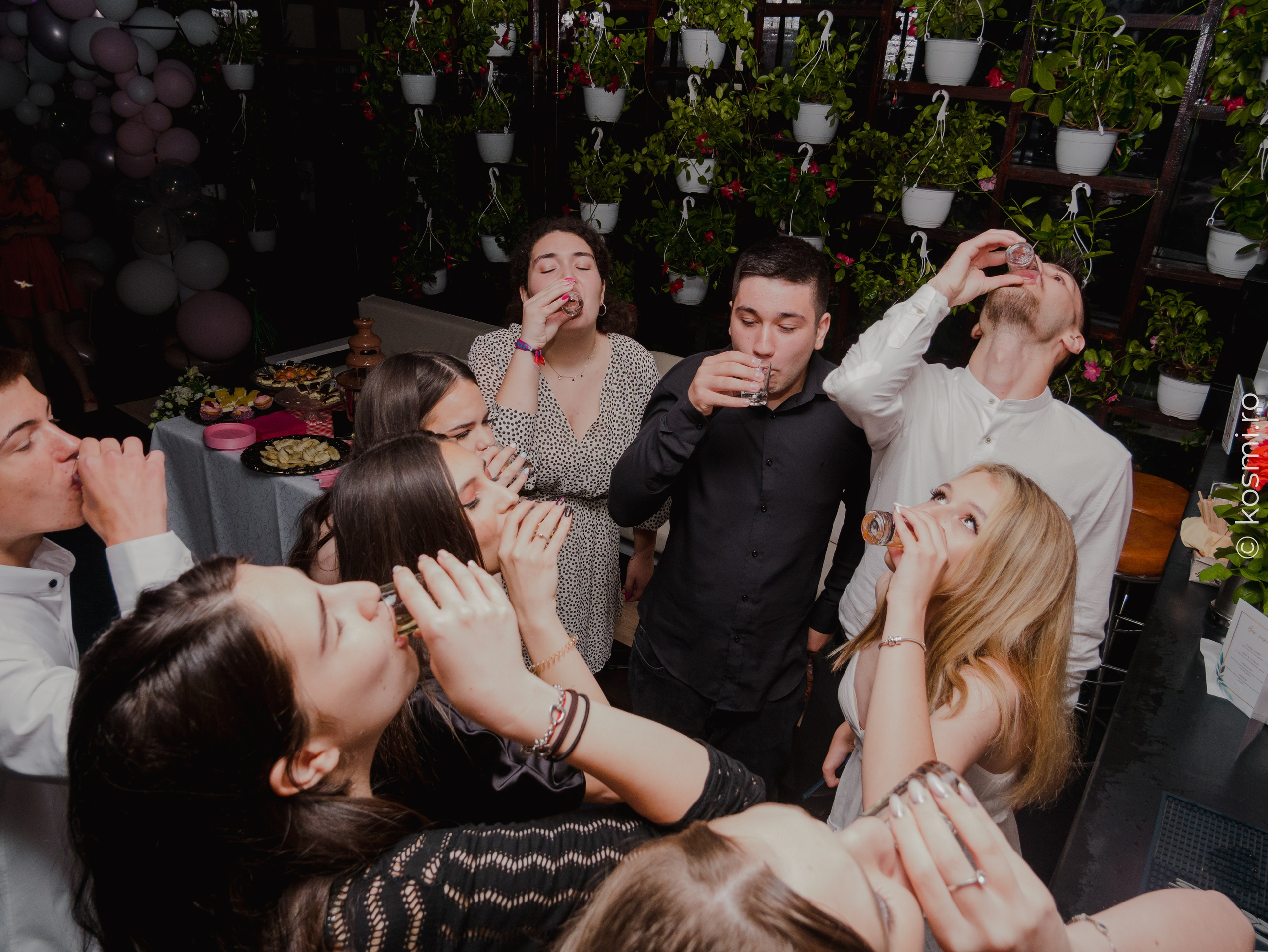 Majorat Eliza. Kosmi