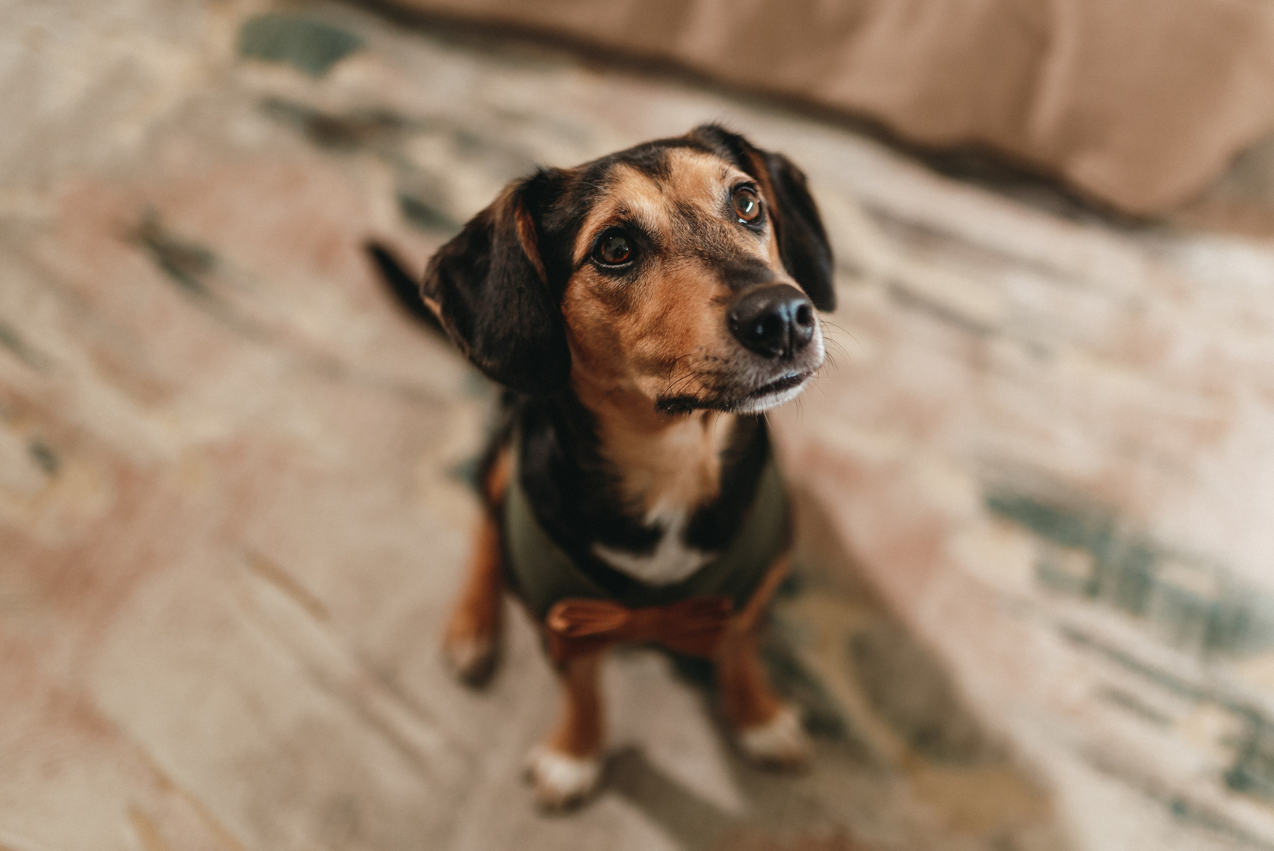 São & Luís. Fotógrafa de Casamentos e Família em Braga — Alexandra Mieres Photography