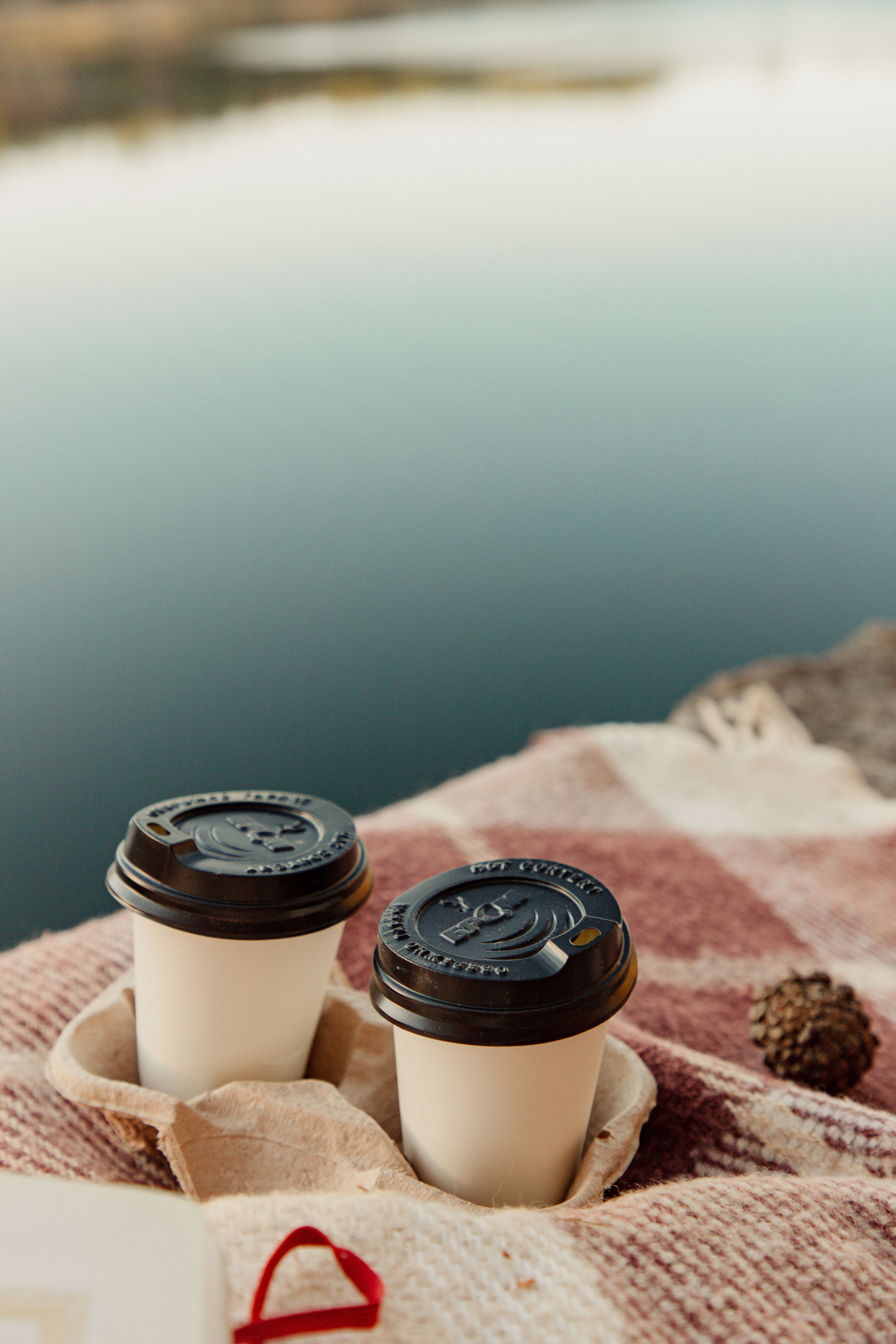 Cozy autumn. Wedding and family photographer