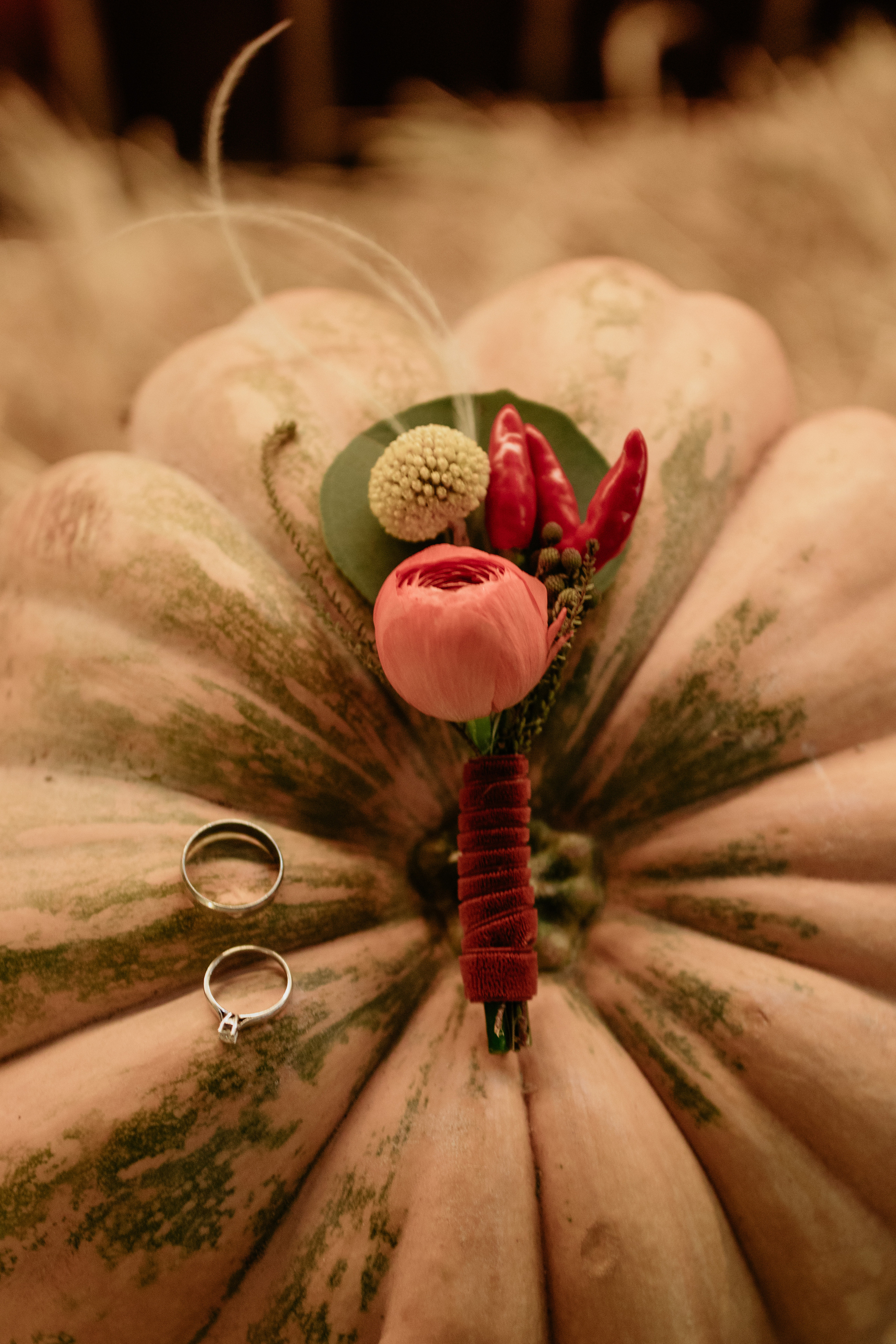 Anna & David. Wedding and family photographer