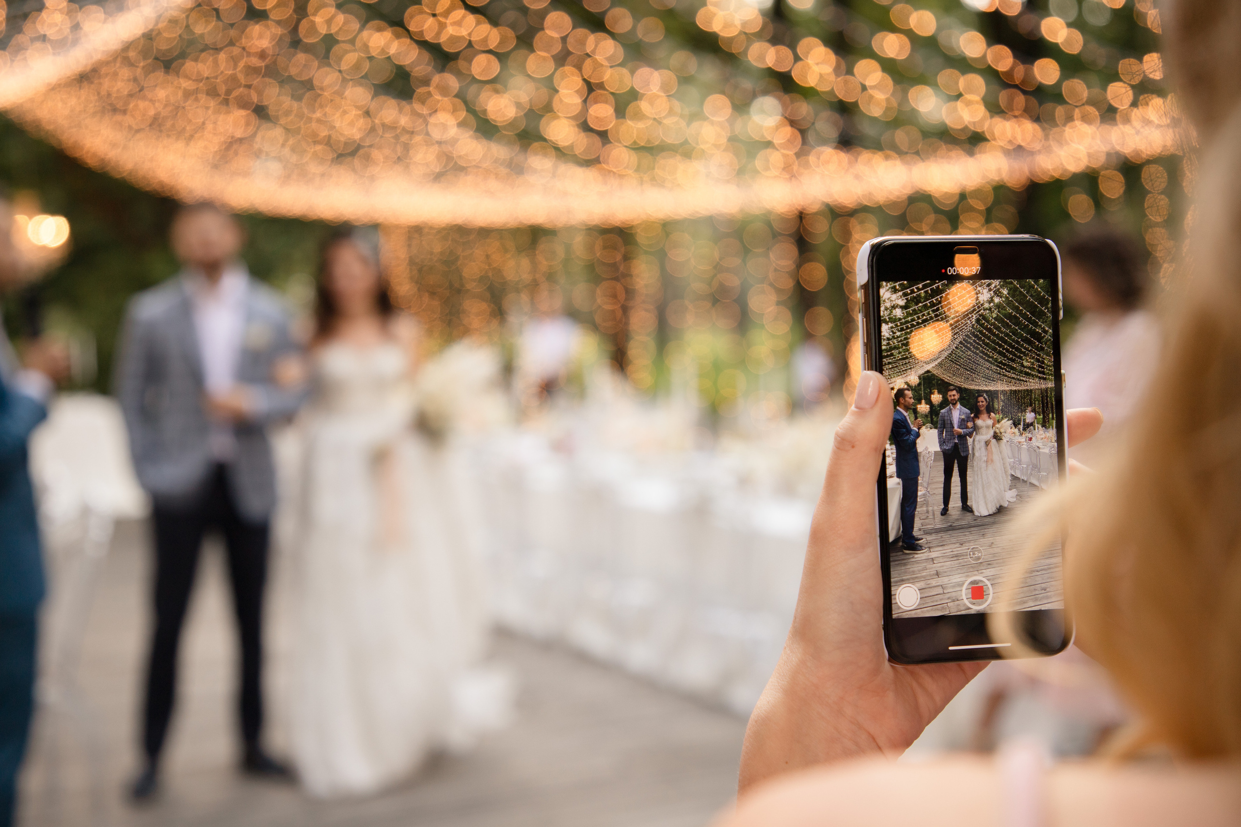 Lina & Dima. Wedding and family photographer