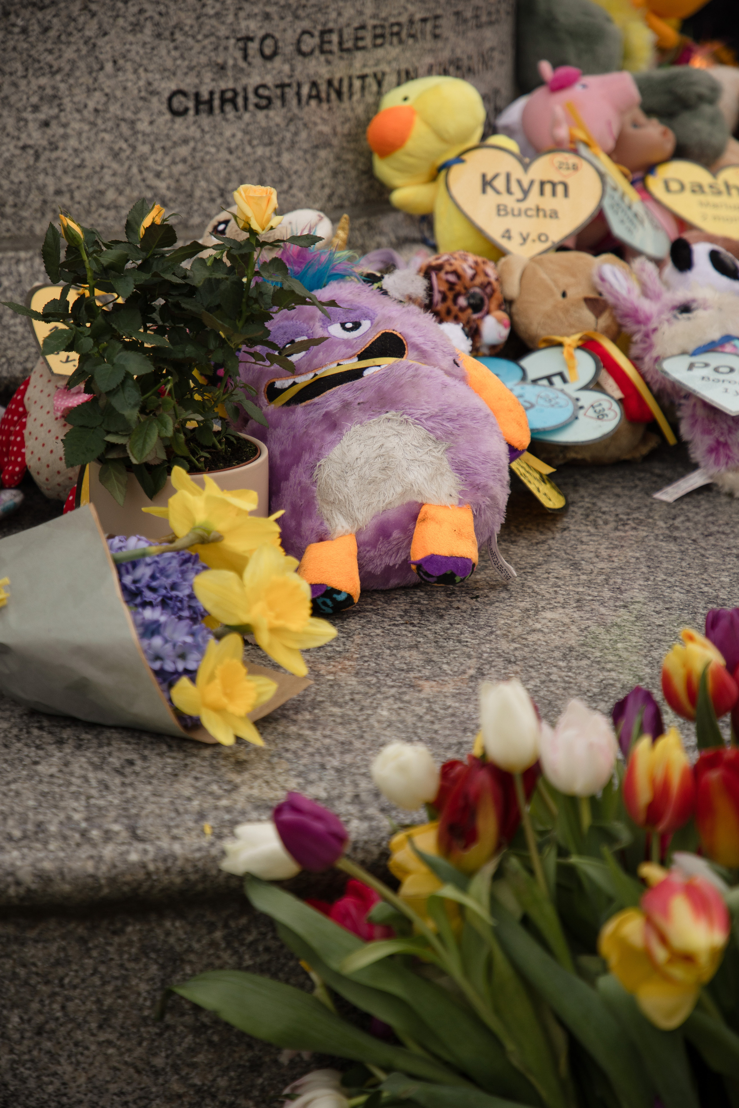 24.02.23. Wedding and family photographer