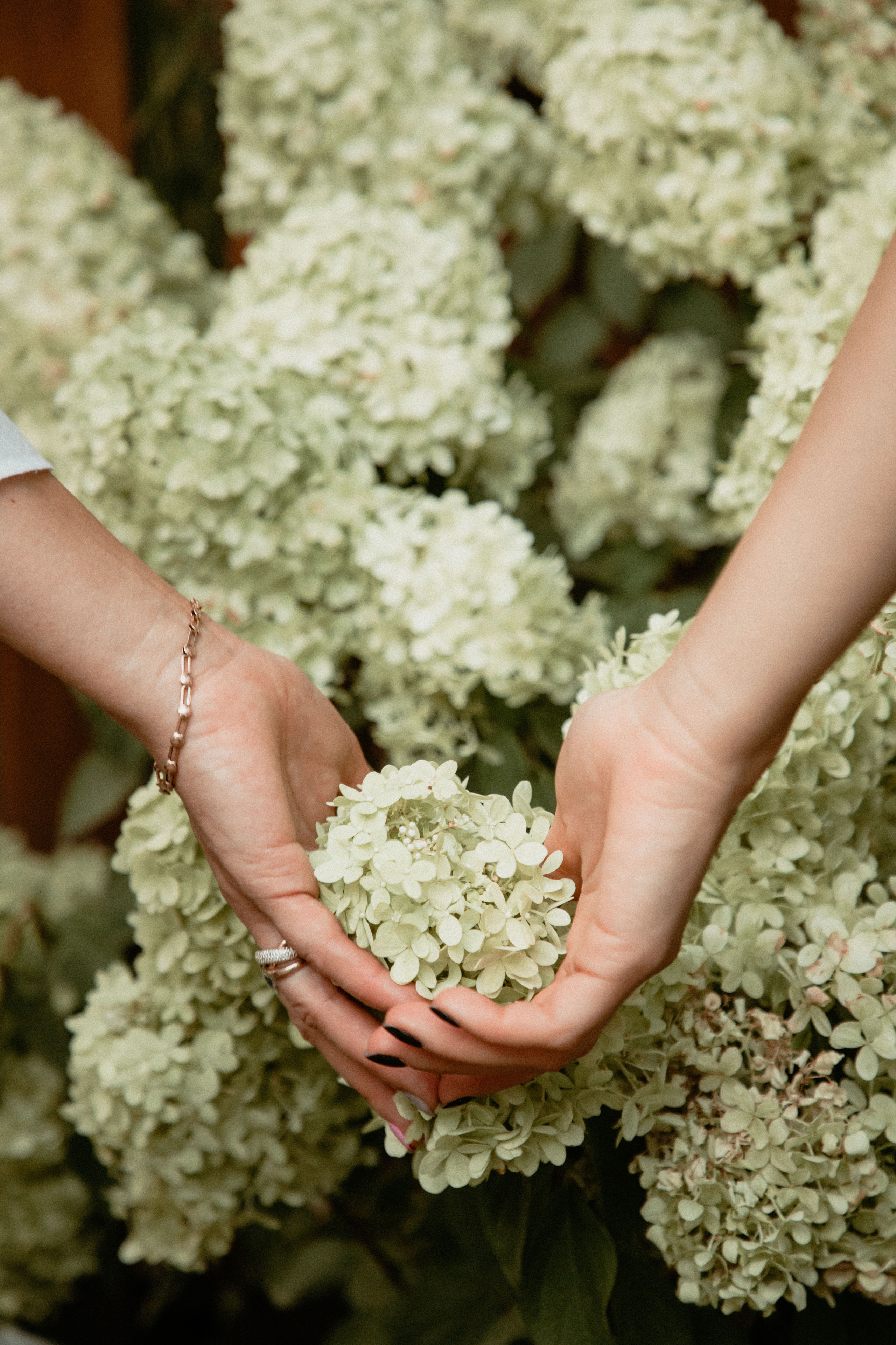 This is us. Wedding and family photographer