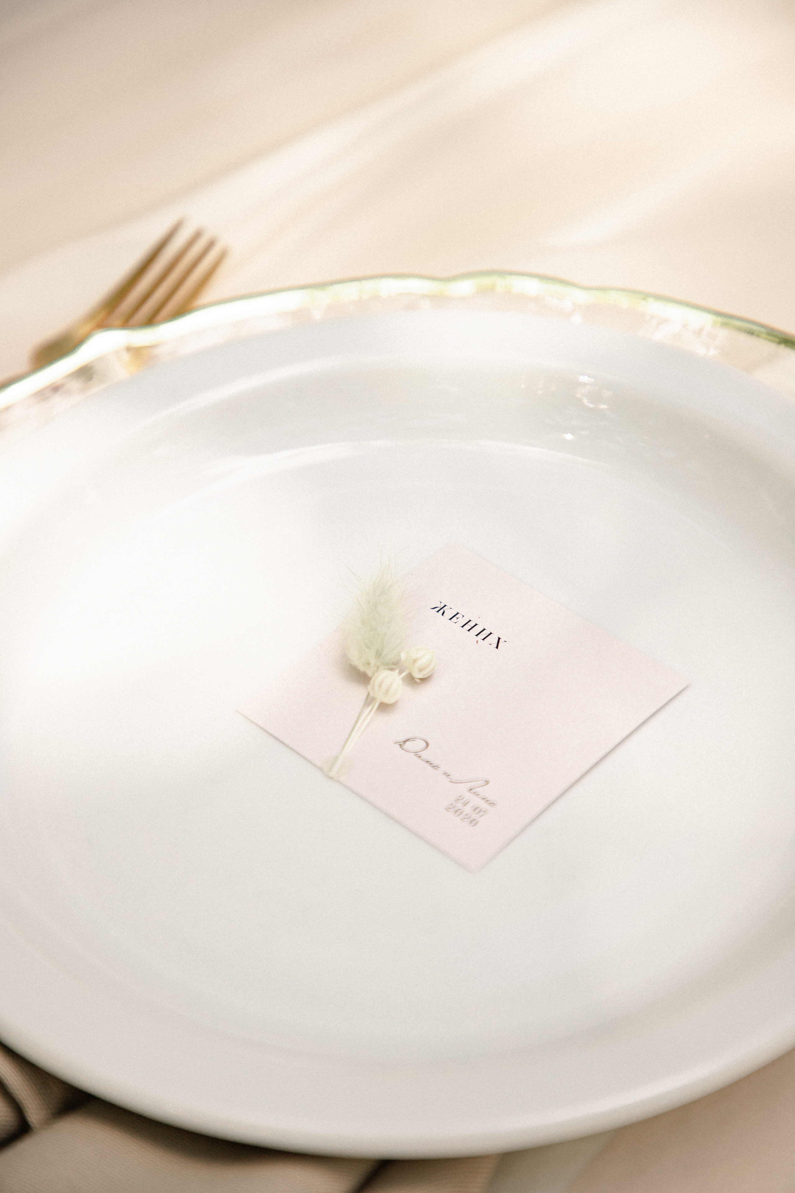 Lina & Dima. Wedding and family photographer