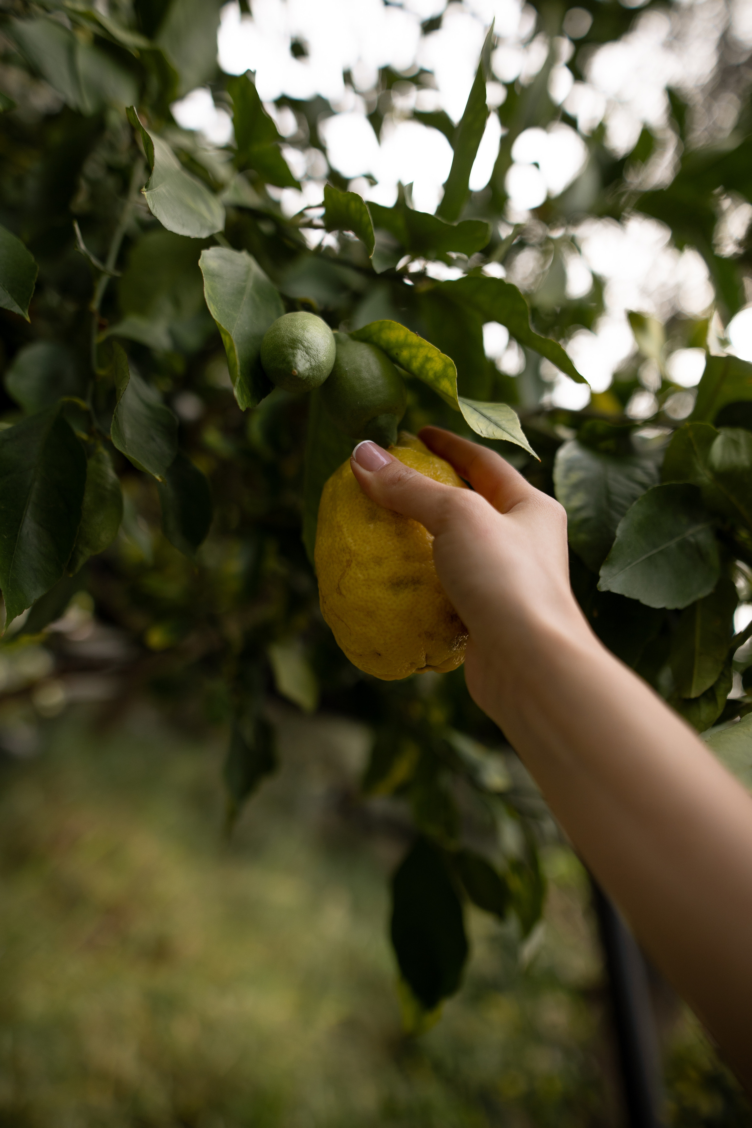 Anastasiya. Positano. Wedding and family photographer