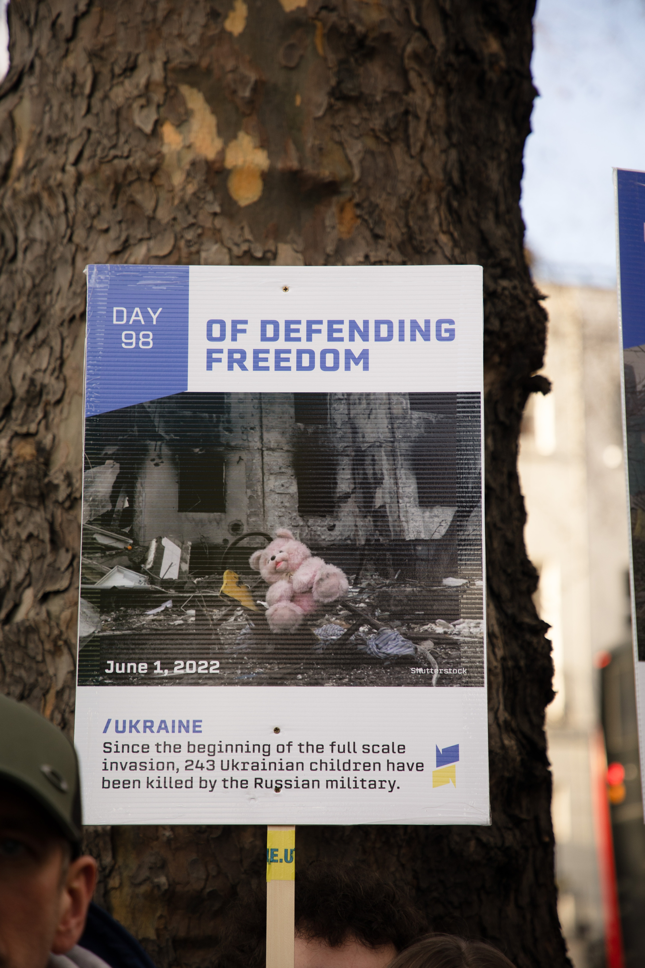 24.02.23. Wedding and family photographer