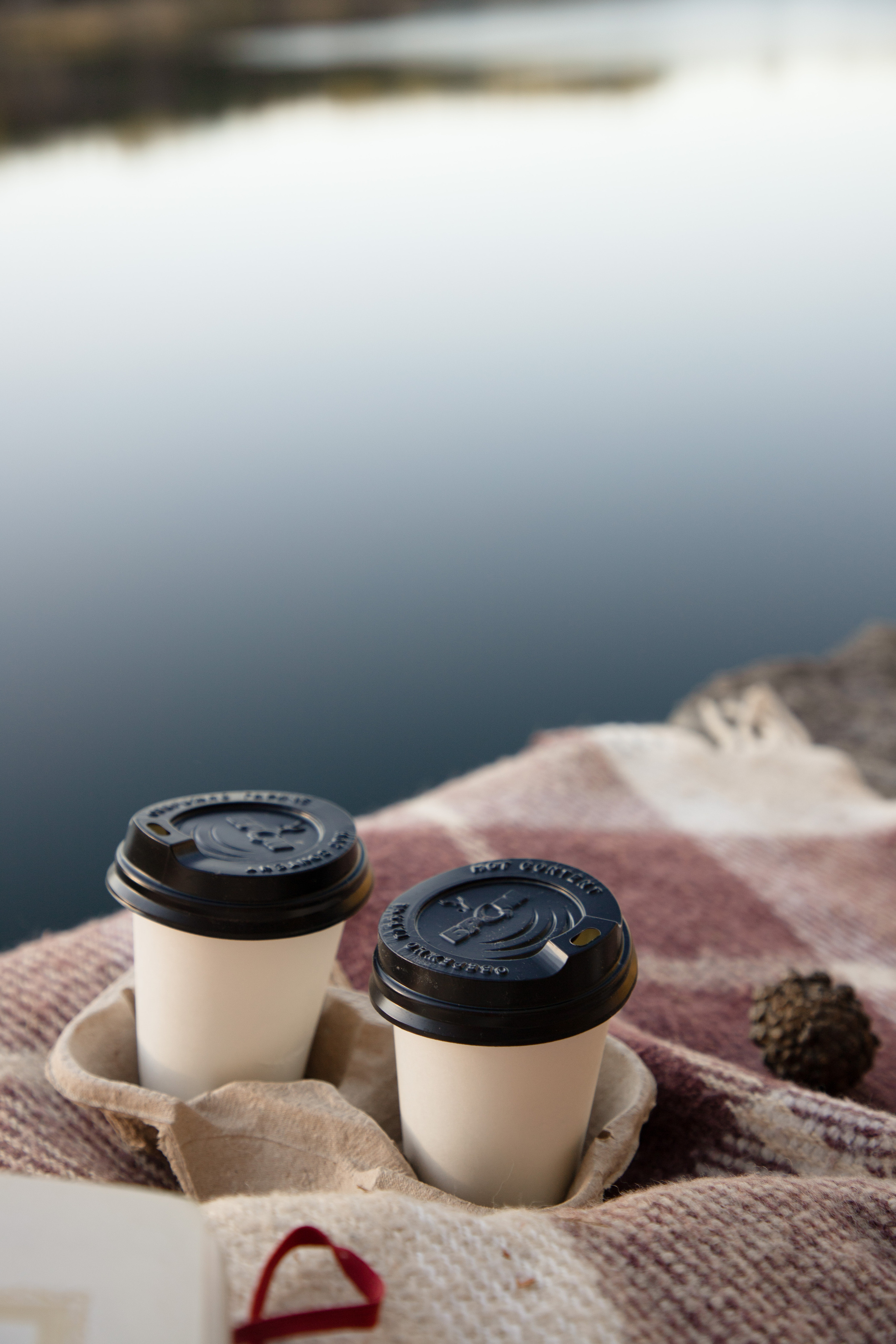 Cozy autumn. Wedding and family photographer