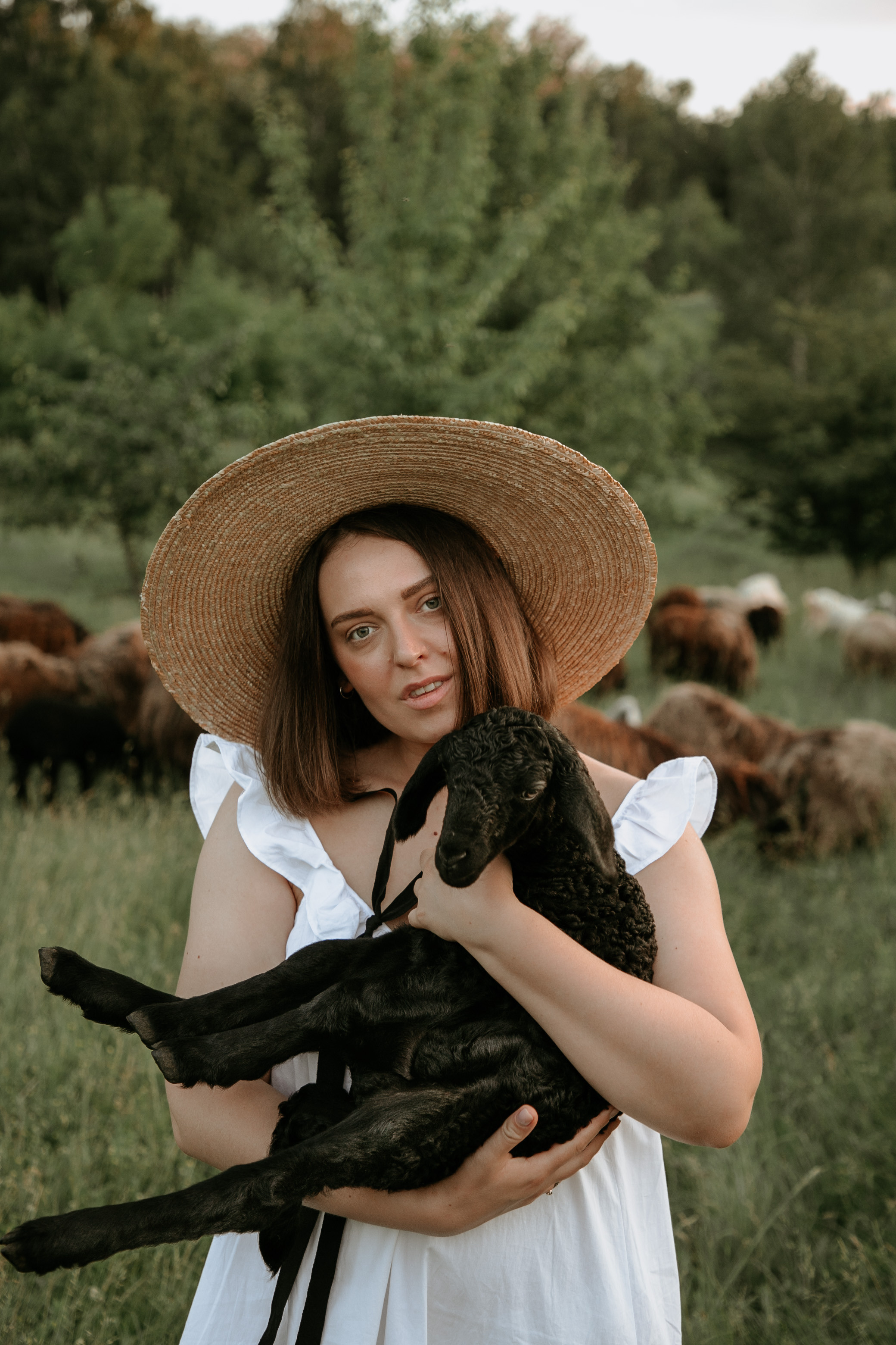 Sheepland. Wedding and family photographer