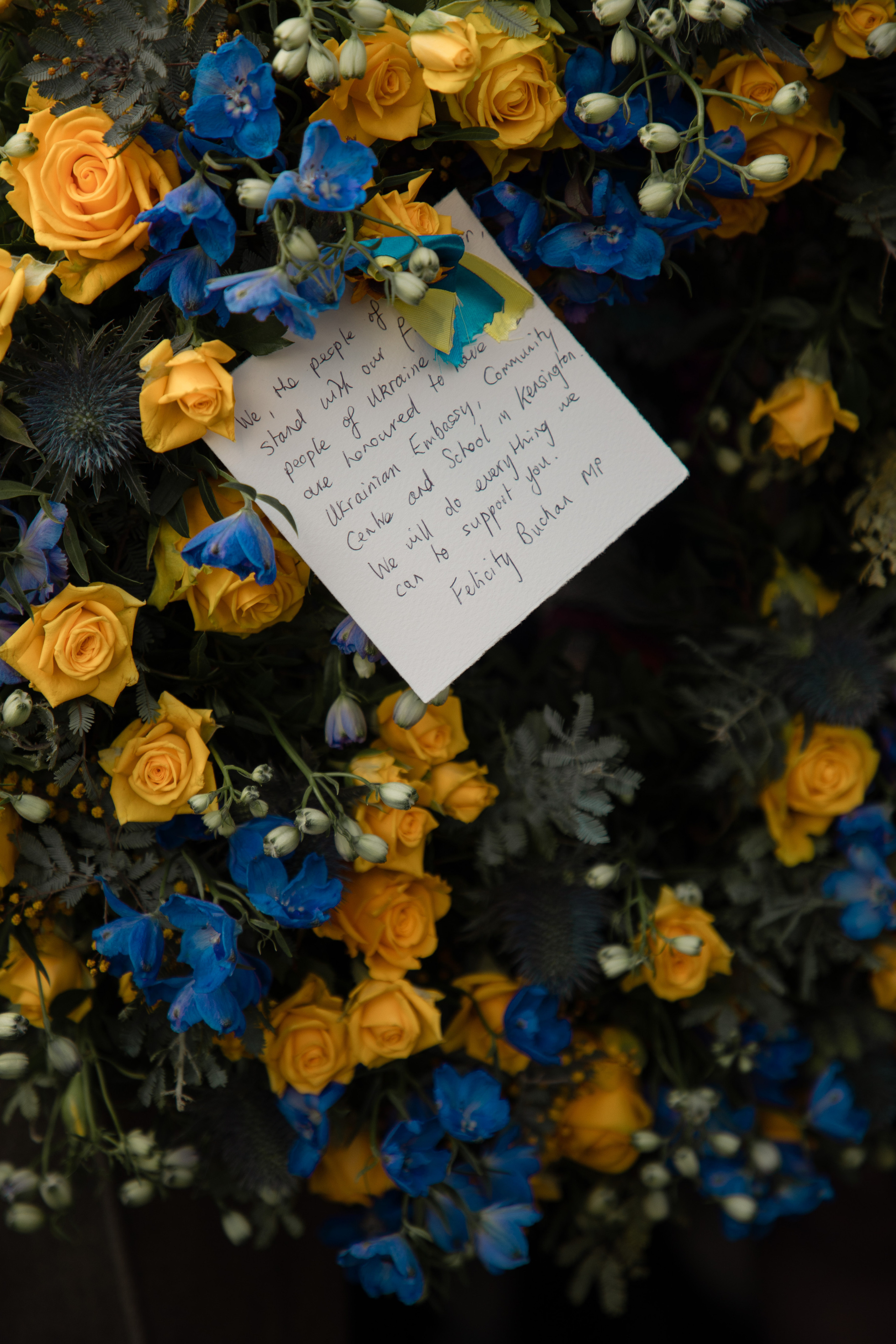 24.02.23. Wedding and family photographer