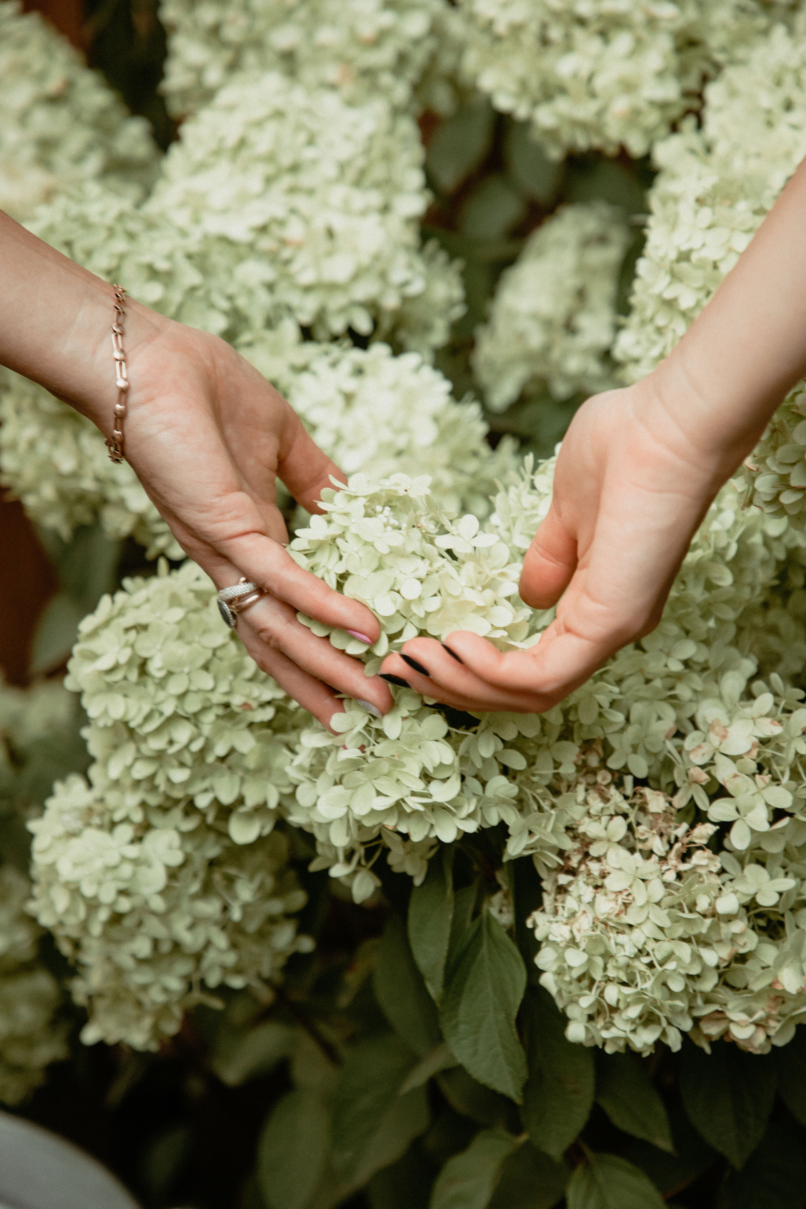 This is us. Wedding and family photographer