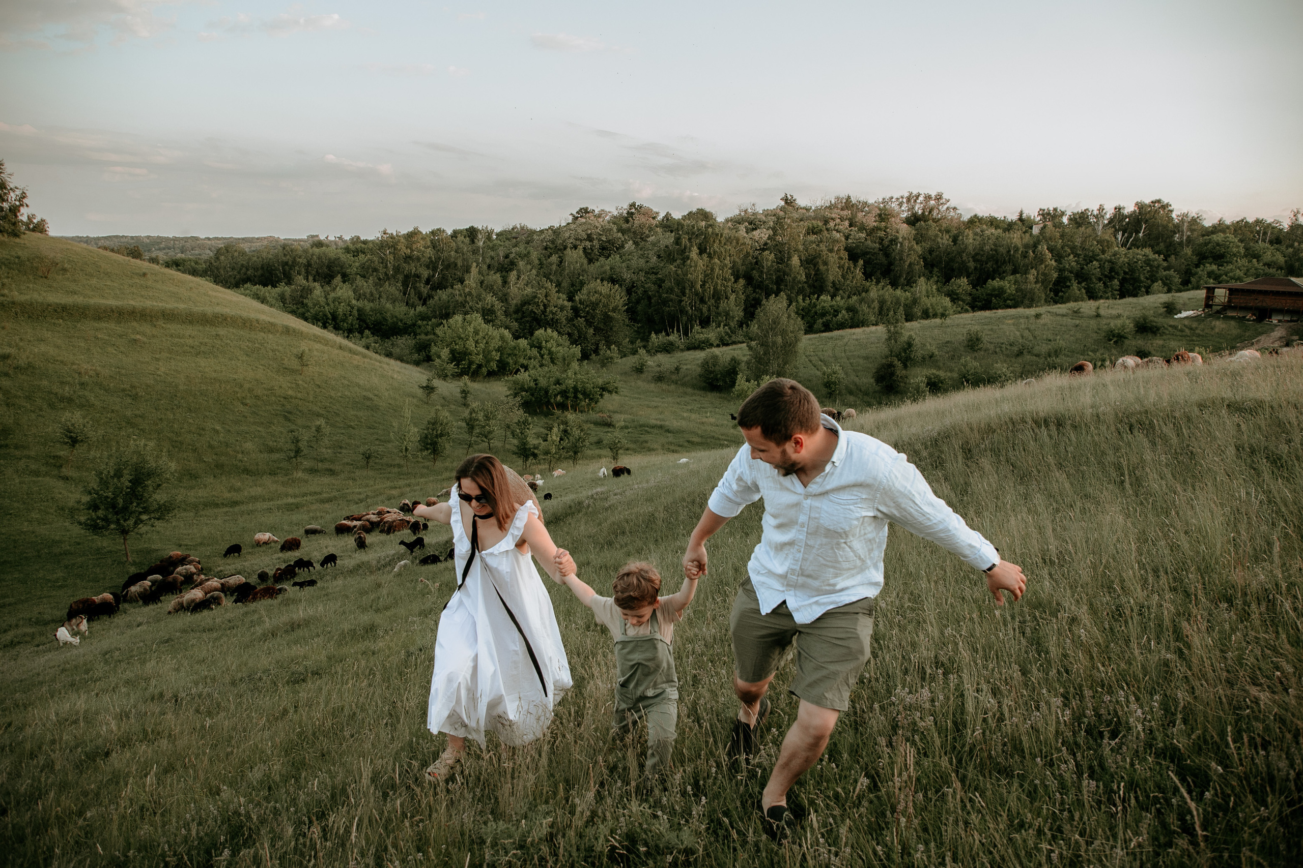 Sheepland. Wedding and family photographer